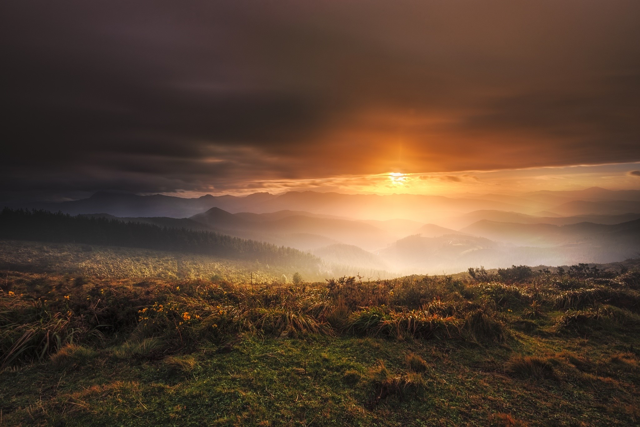 Sunset over misty mountains and forest HD Wallpaper
