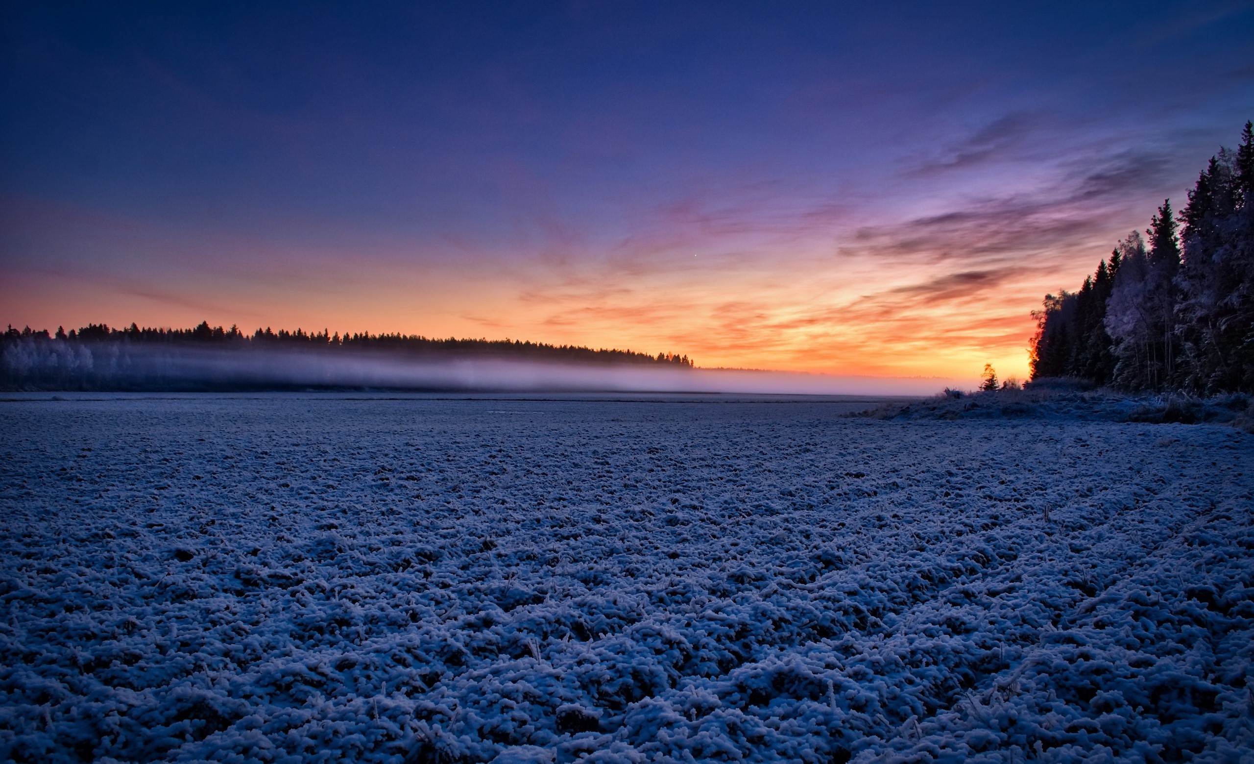 Frosty field at sunrise with misty forest HD Wallpaper