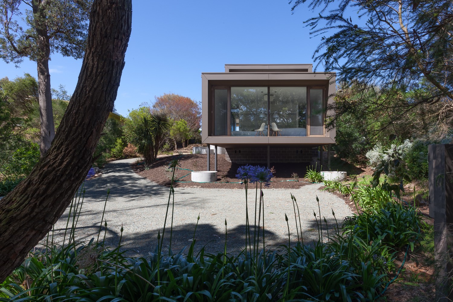 Modern house with large windows surrounded by trees HD Wallpaper