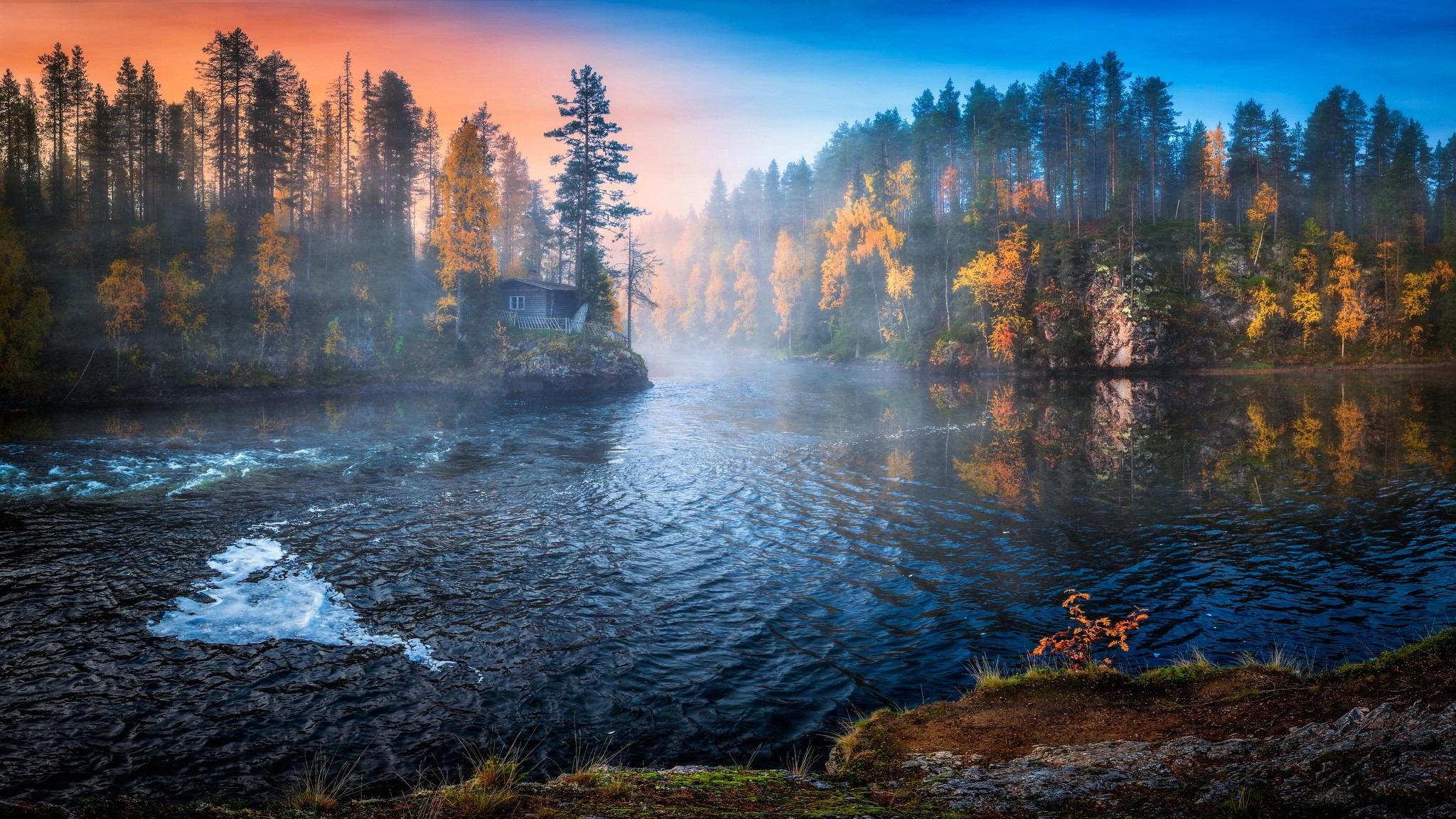 Misty river flowing through an autumn forest at sunrise HD Wallpaper