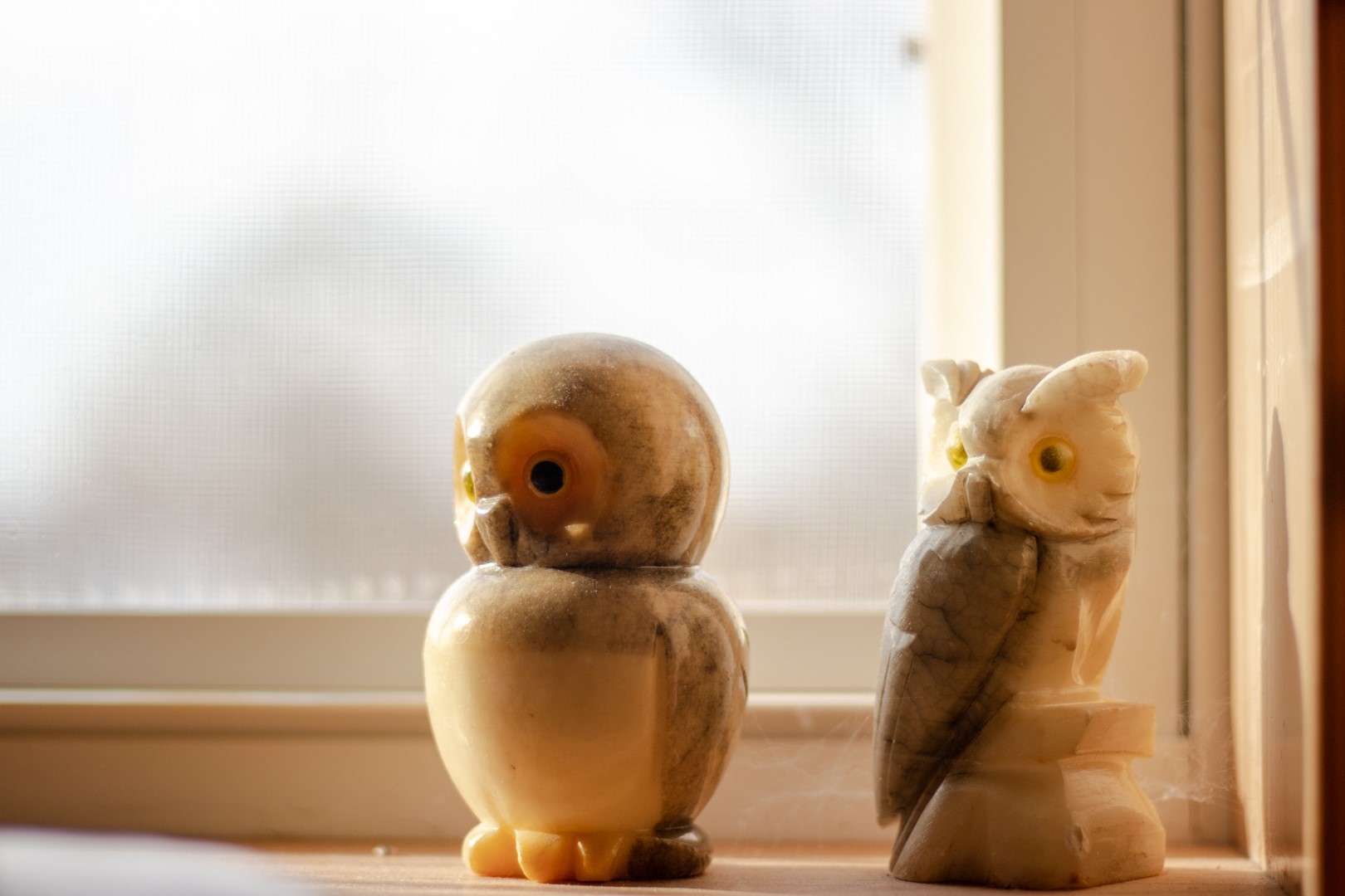 Two owl figurines on a windowsill HD Wallpaper