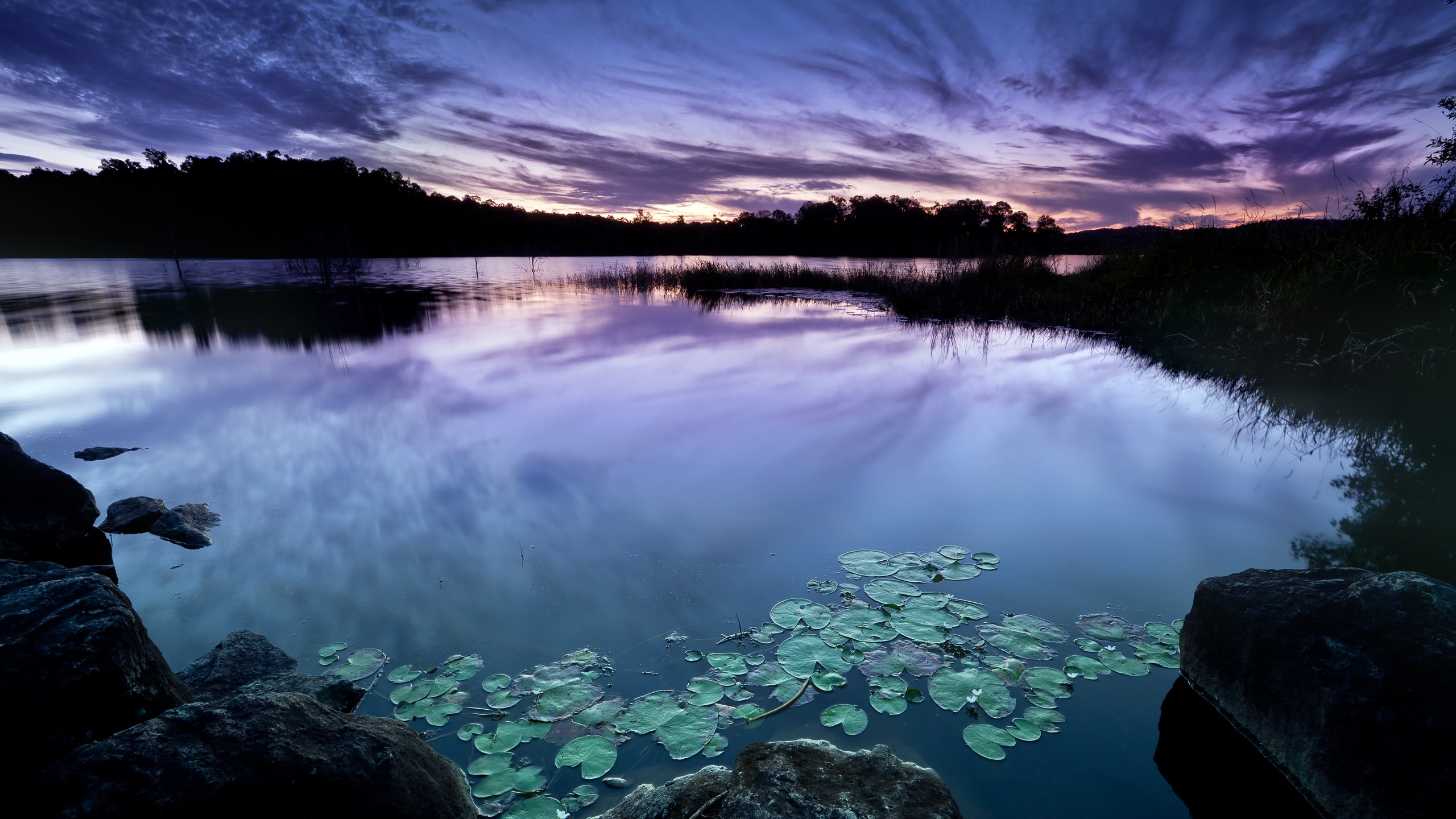 Sunset over a calm lake with lily pads and rocks HD Wallpaper