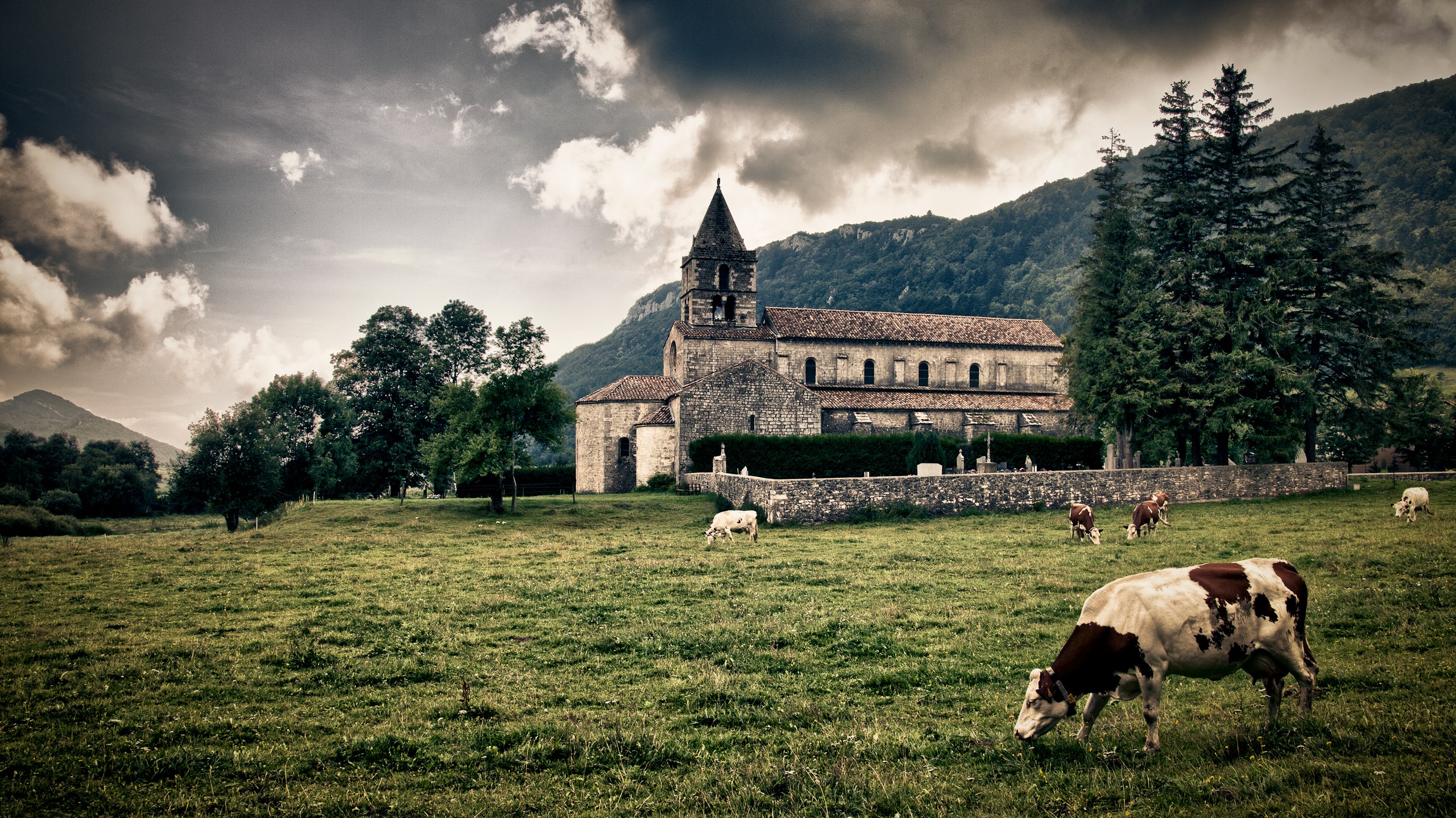 Cows grazing in front of a stone church and mountains HD Wallpaper