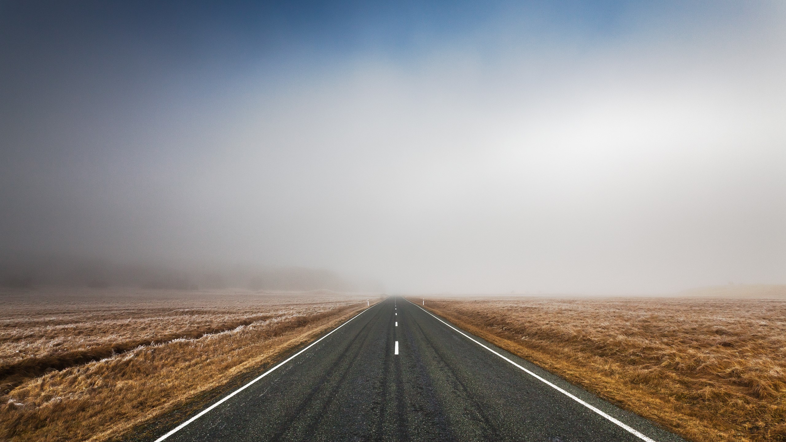 Road disappearing into fog and dry grass HD Wallpaper