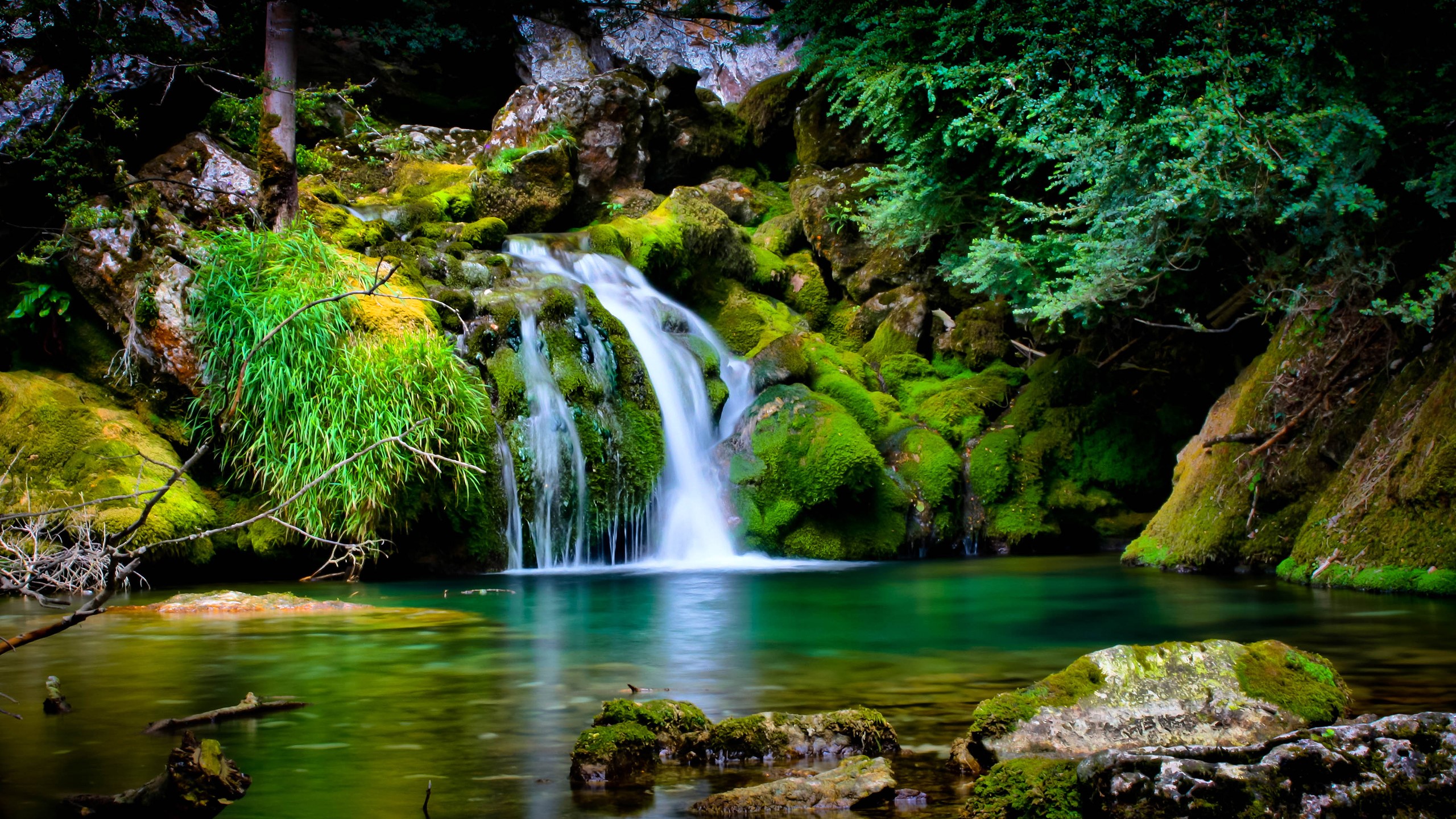 Mossy rocks and a waterfall in a forest HD Wallpaper