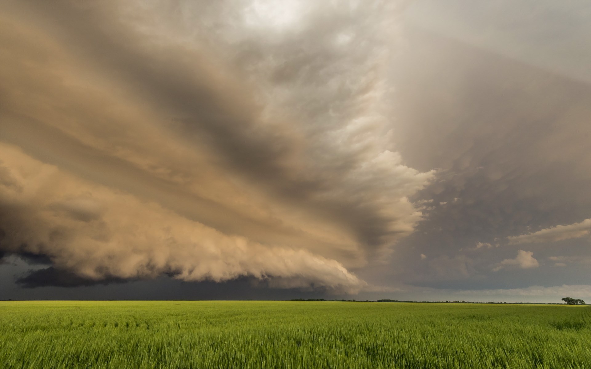 Storm clouds over a green field HD Wallpaper