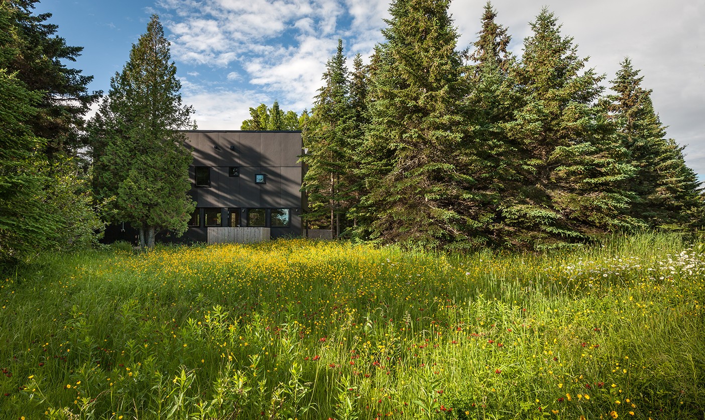 Modern house surrounded by trees and wildflowers HD Wallpaper
