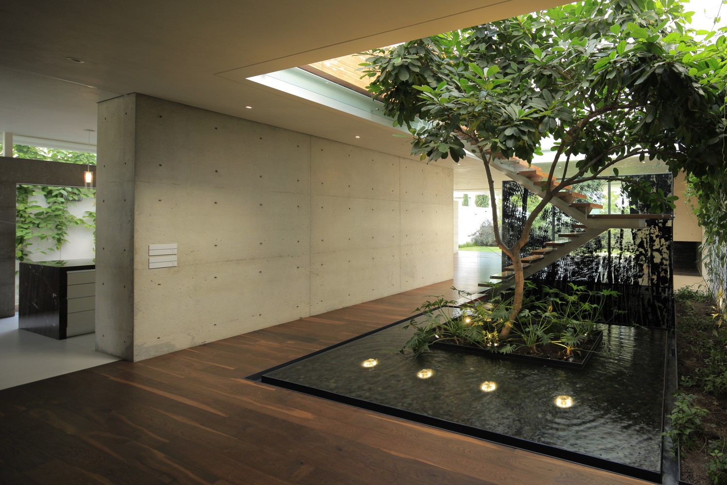 Modern interior with indoor water feature and tree HD Wallpaper