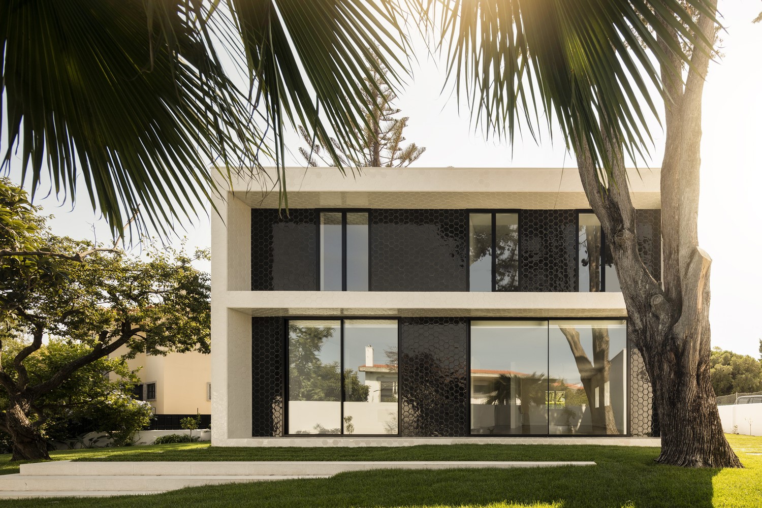 Modern house with hexagonal facade and palm trees HD Wallpaper