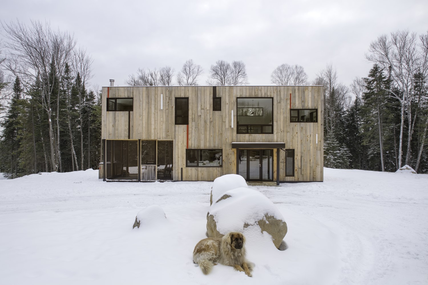Modern wooden house in a snowy forest with a dog HD Wallpaper