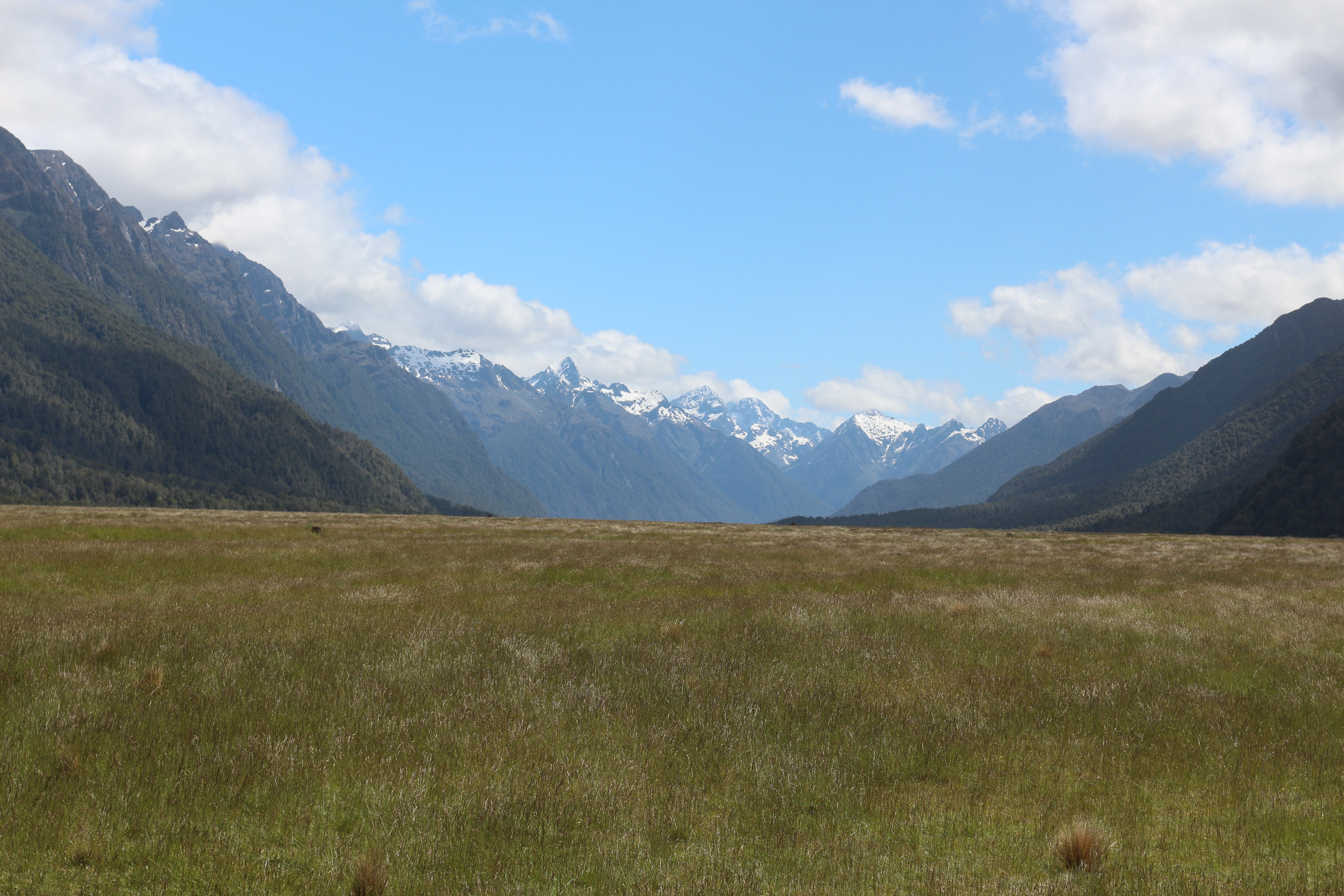 Landscape of Fiordland National Park, New Zealand HD Wallpaper