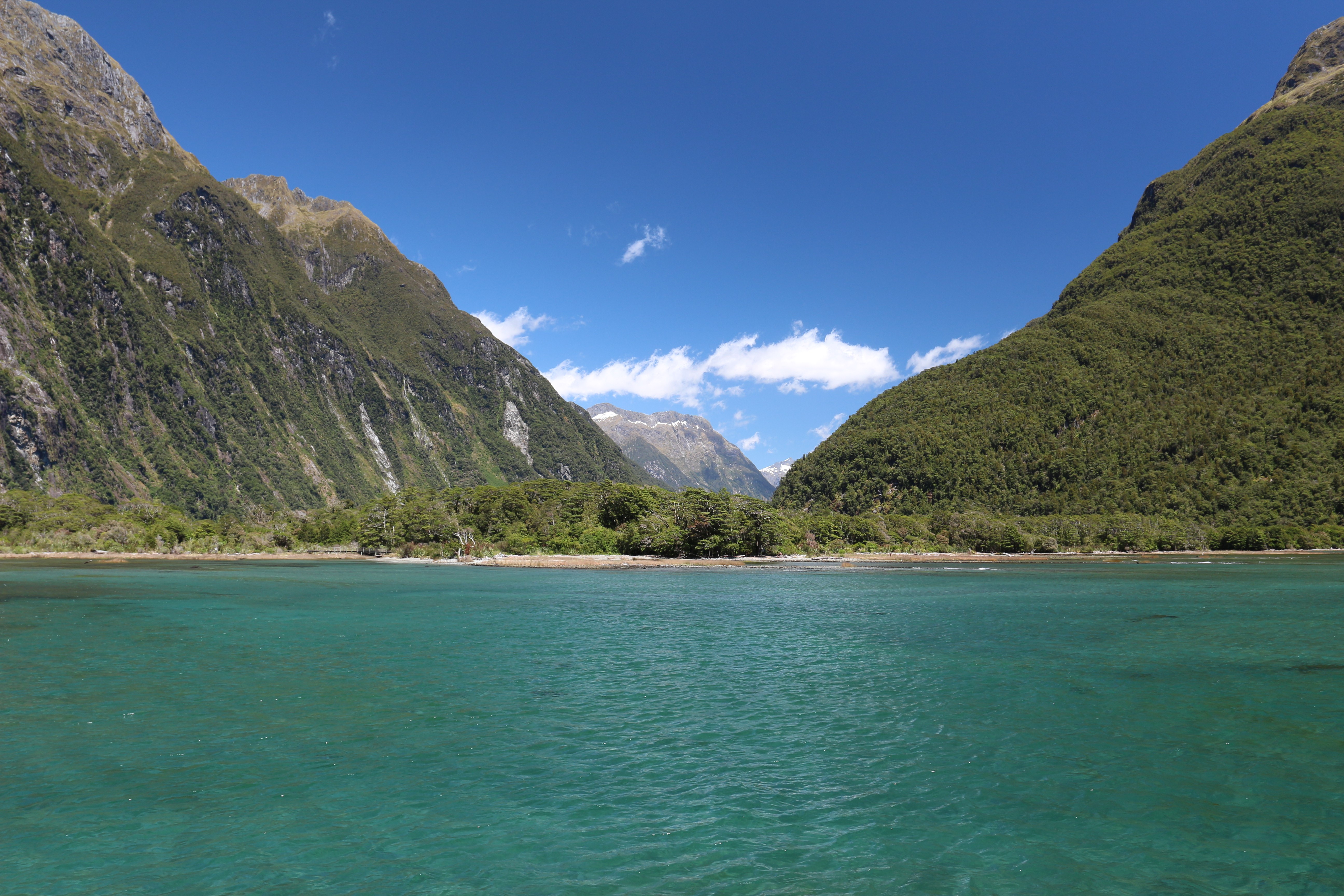 Fiordland National Park, New Zealand Landscape HD Wallpaper