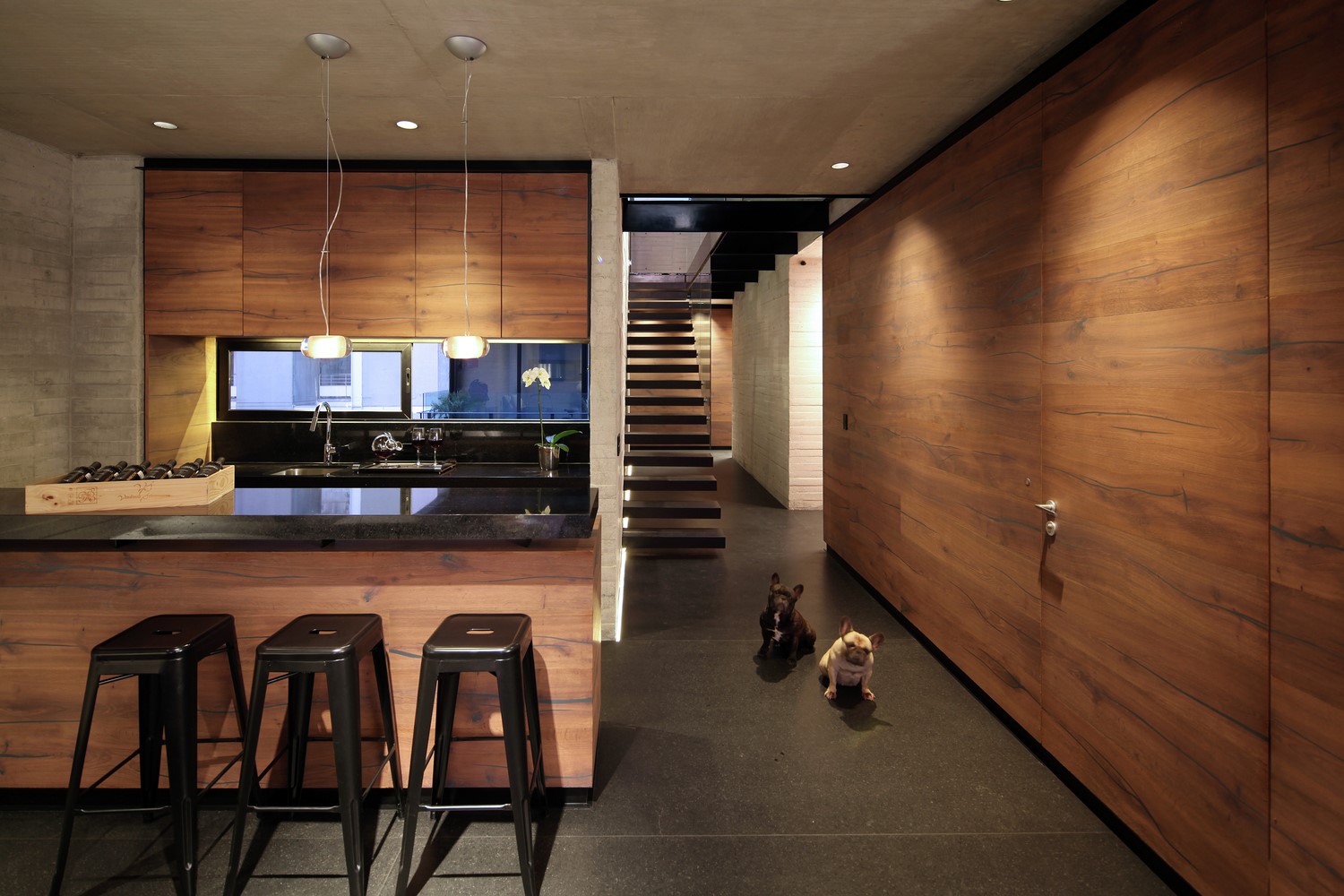 Modern kitchen with wooden cabinets and two dogs HD Wallpaper