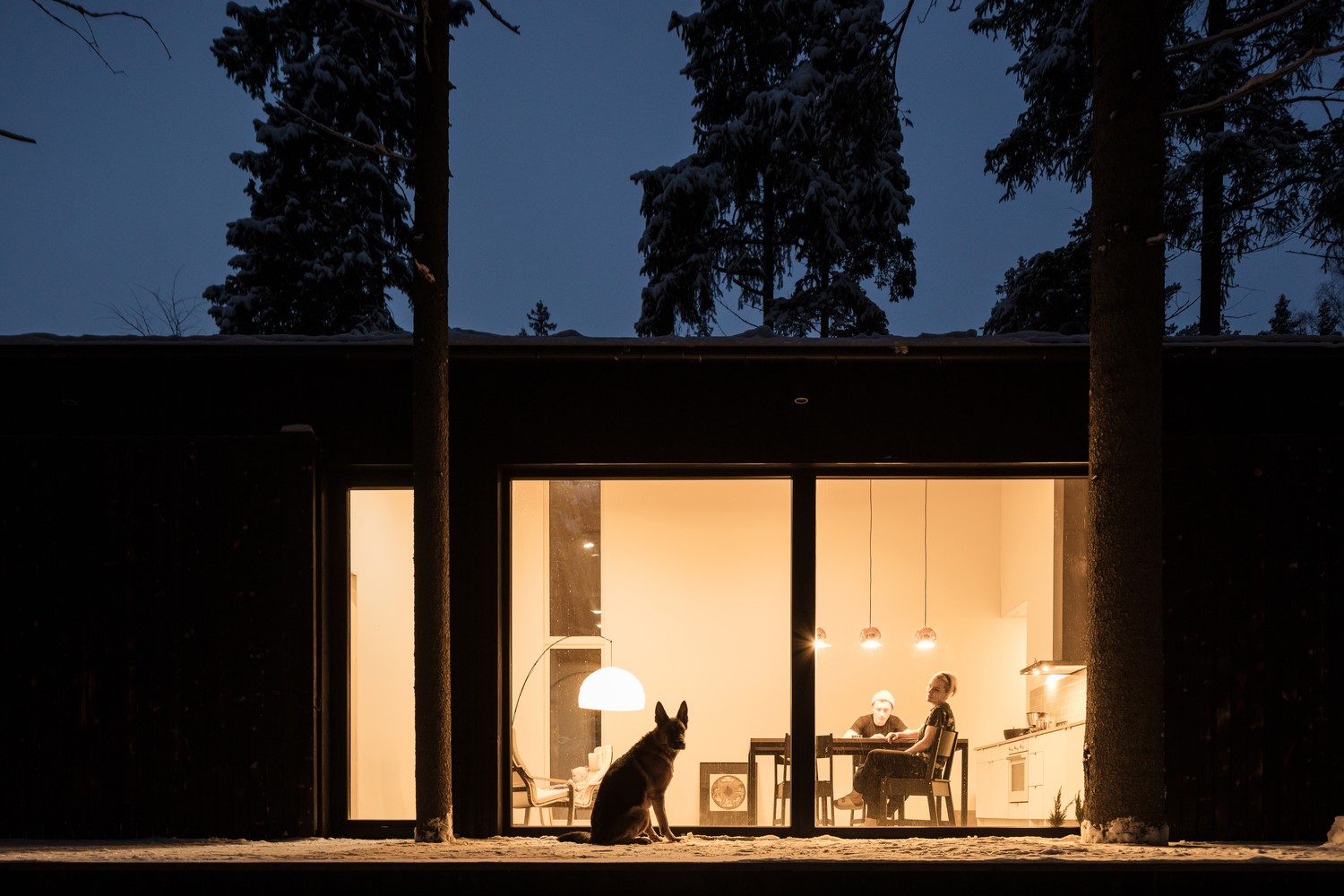 Family and dog in modern house at night HD Wallpaper