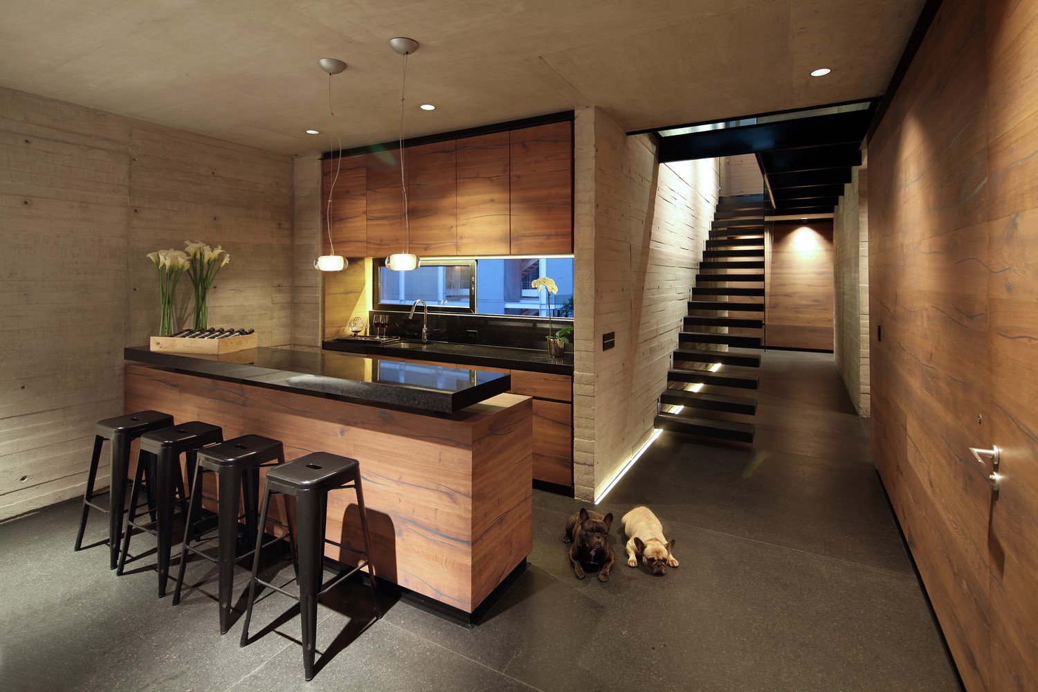 Modern kitchen with bar and stairs, two bulldogs HD Wallpaper