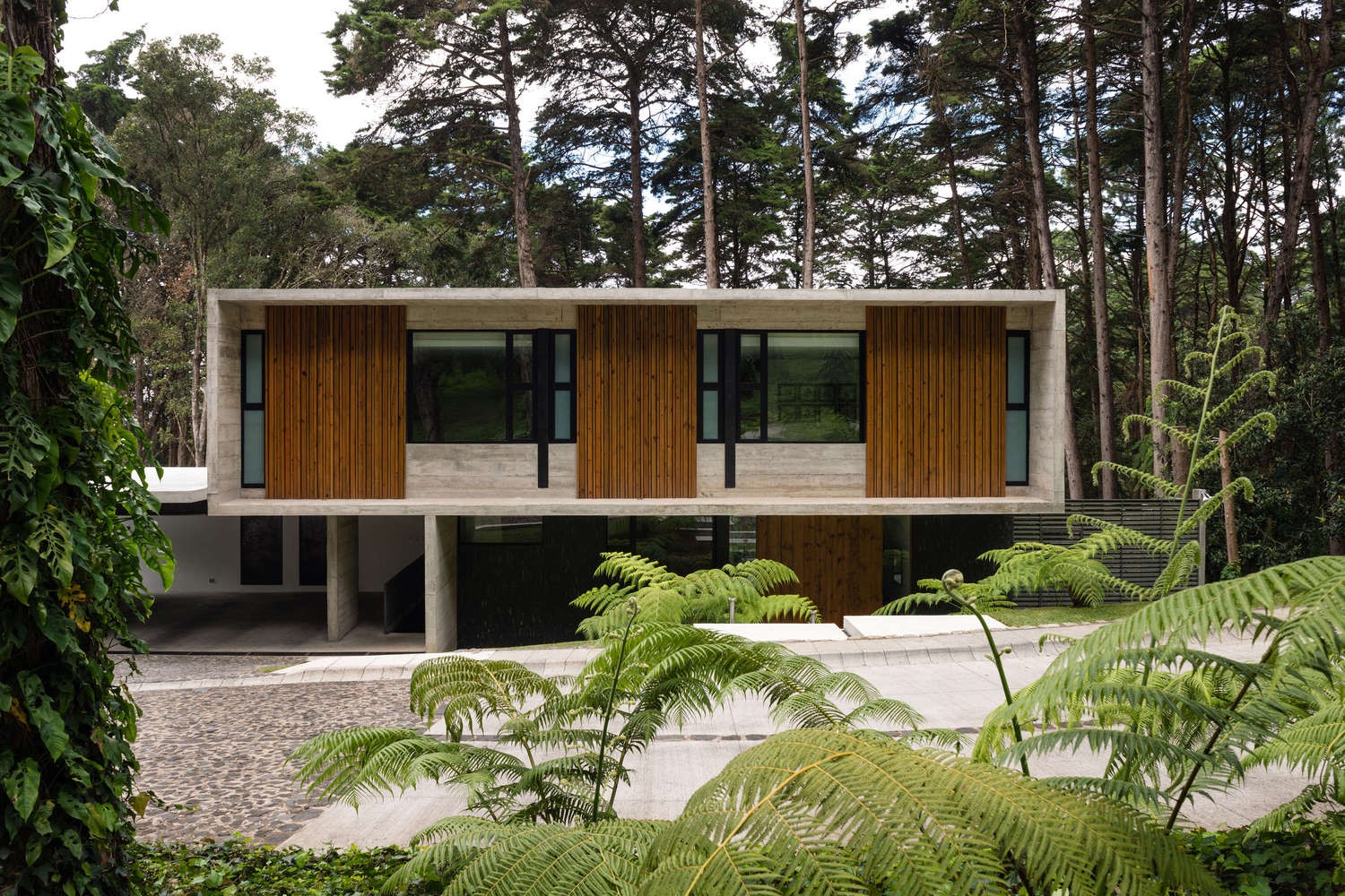 Modern concrete house in a forest HD Wallpaper