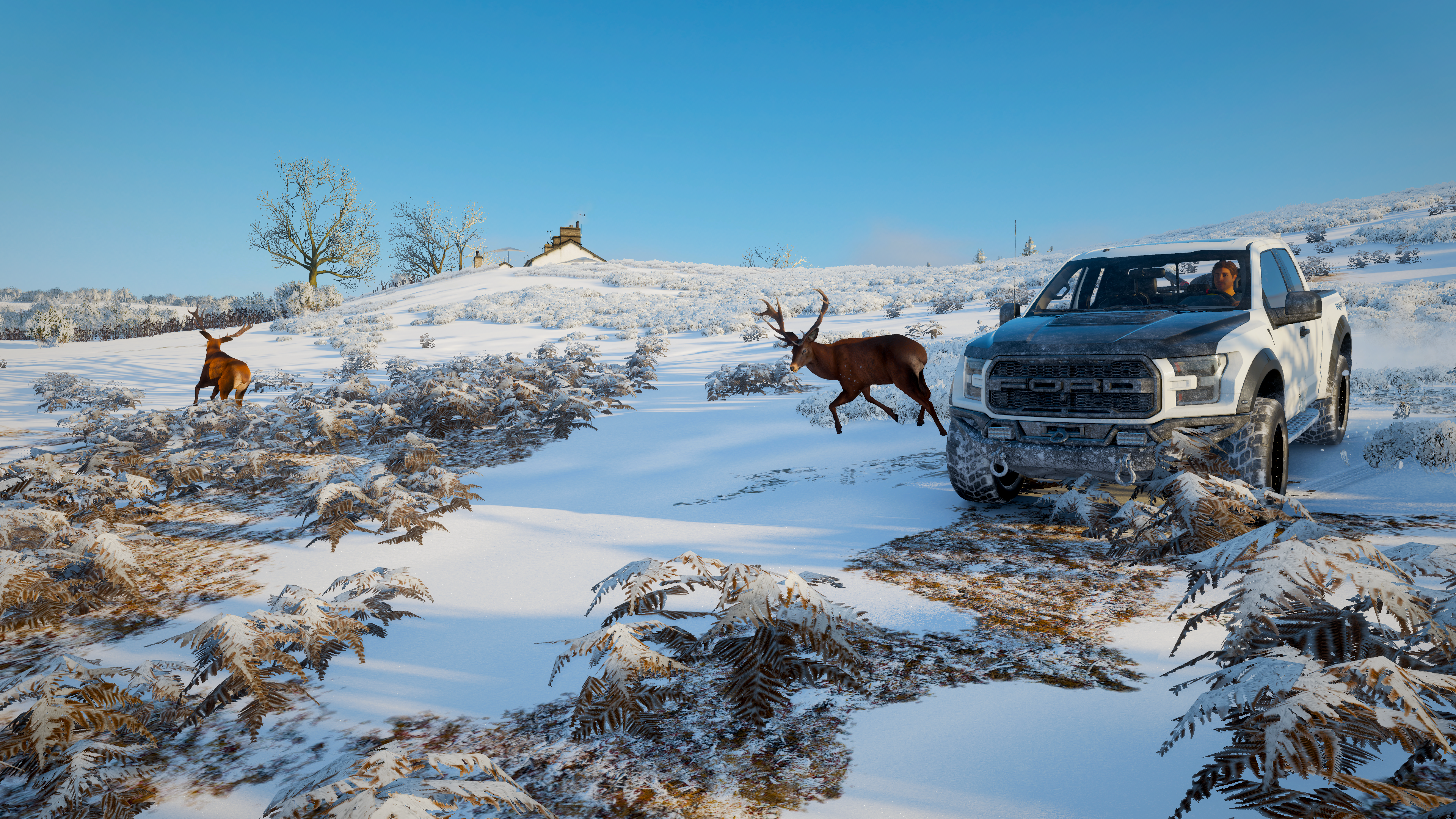 Ford Raptor in snowy landscape with deer, Forza Horizon 4 HD Wallpaper