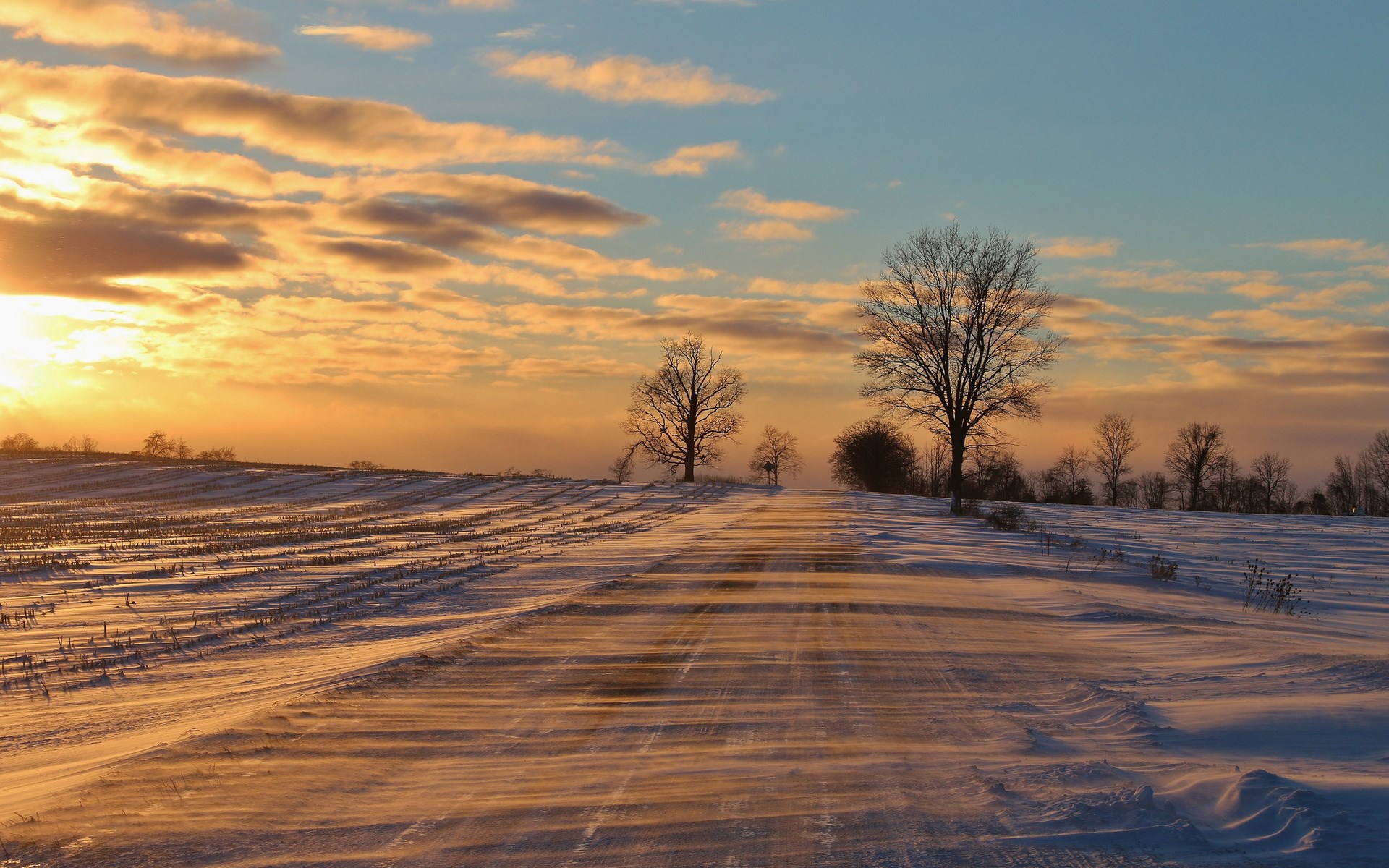 Snowy road at sunset with bare trees HD Wallpaper