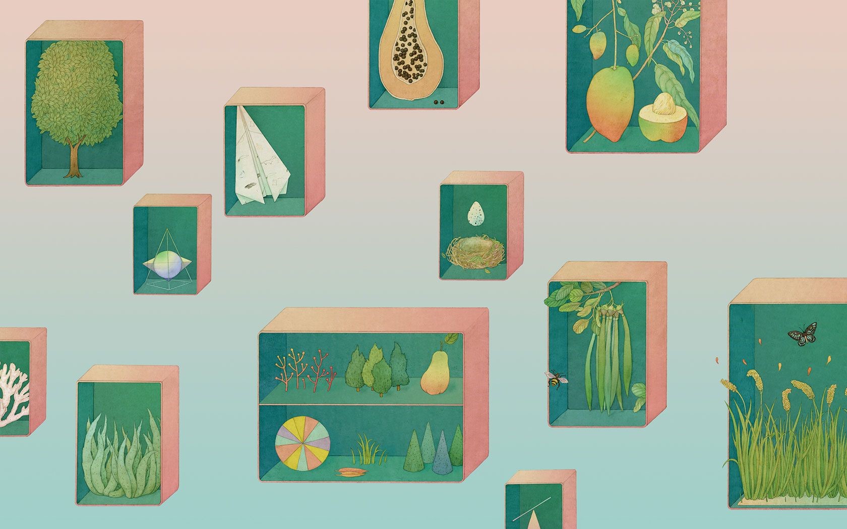 Illustration of various objects in display boxes HD Wallpaper