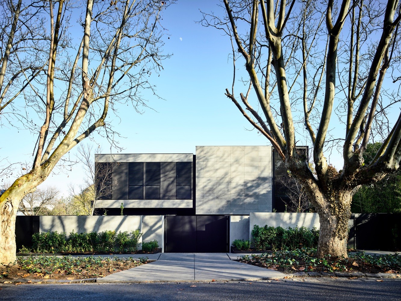 Modern minimalist house with large trees HD Wallpaper