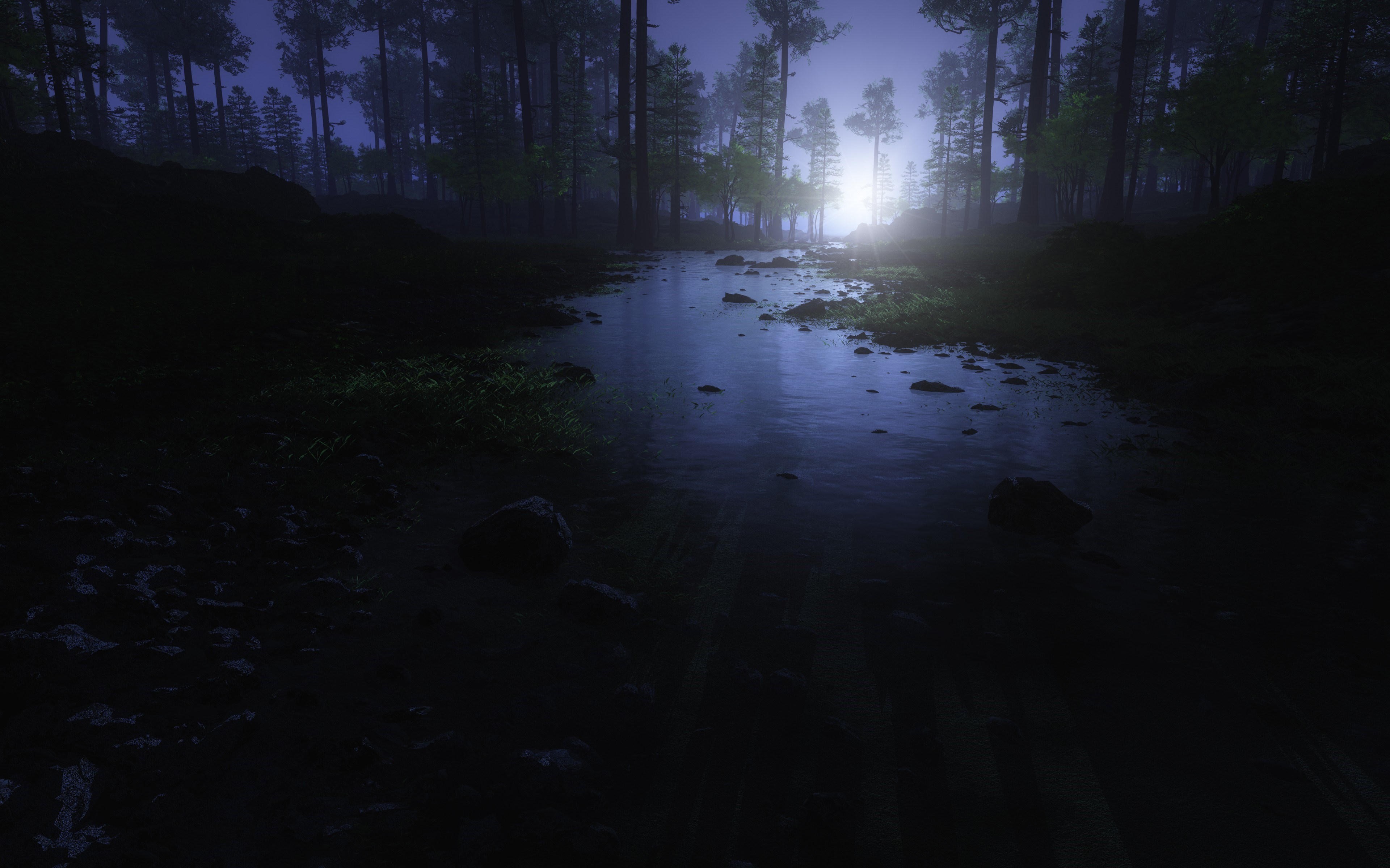 Dark forest with a stream and light HD Wallpaper