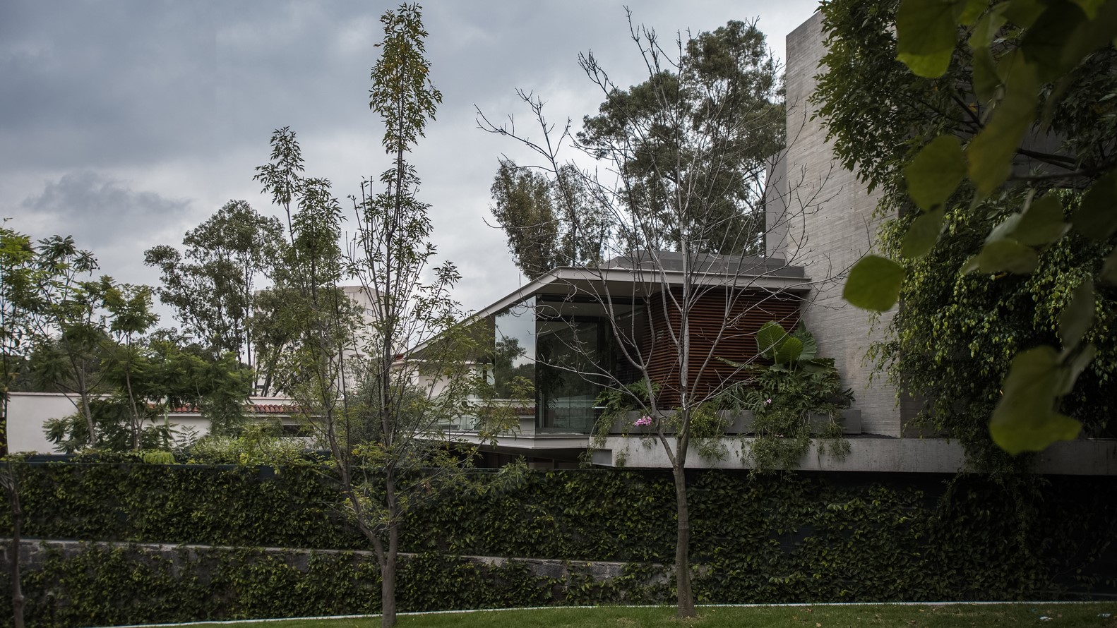 Modern house with glass and concrete architecture surrounded by trees HD Wallpaper