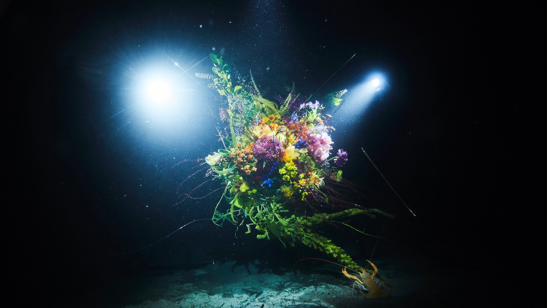 Underwater bouquet illuminated by spotlights HD Wallpaper