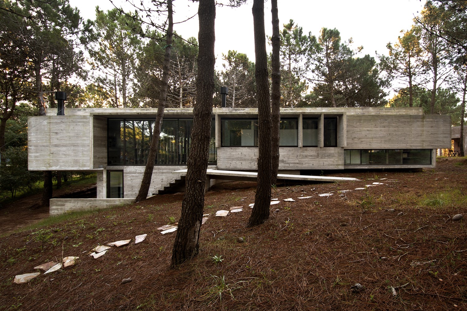 Modern concrete house in a forest HD Wallpaper