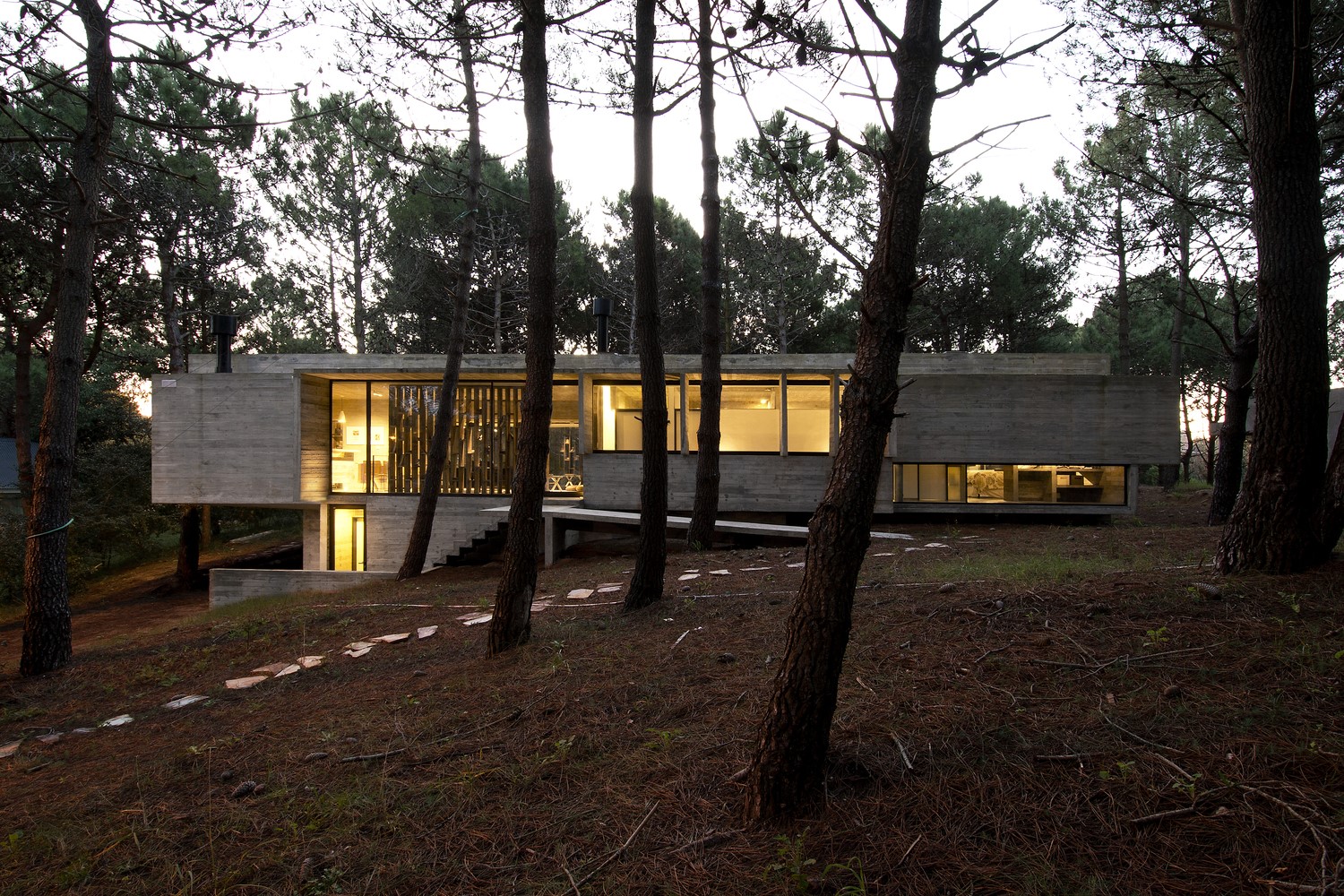 Modern concrete house in a forest HD Wallpaper