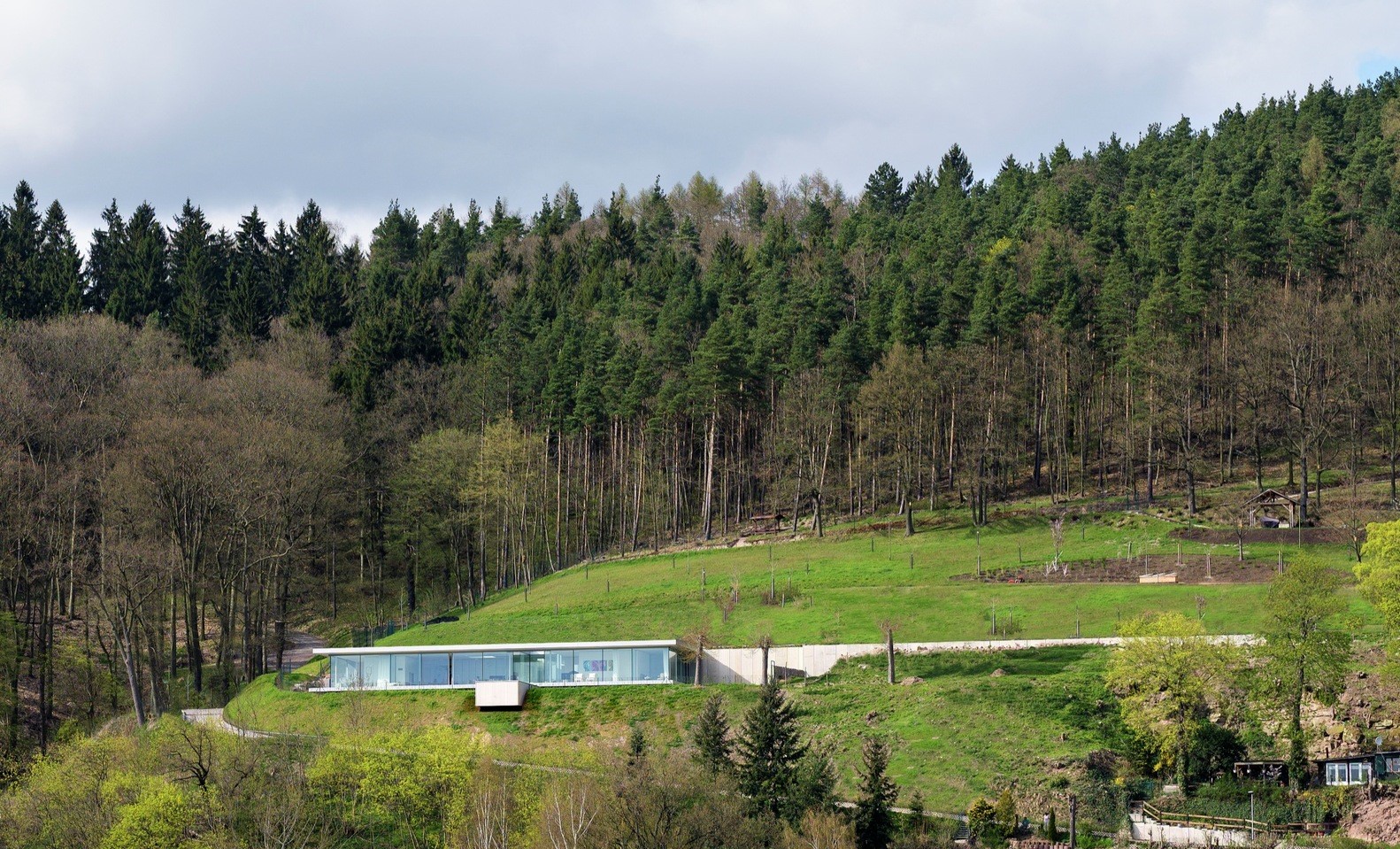 Modern glass house on a grassy hillside HD Wallpaper