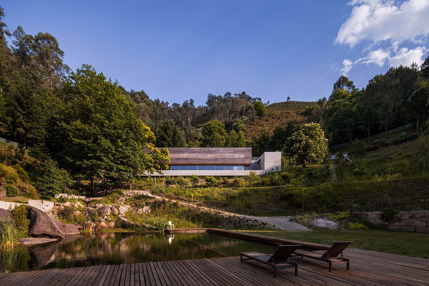 Modern house with wooden facade and concrete elements in a forest setting HD Wallpaper