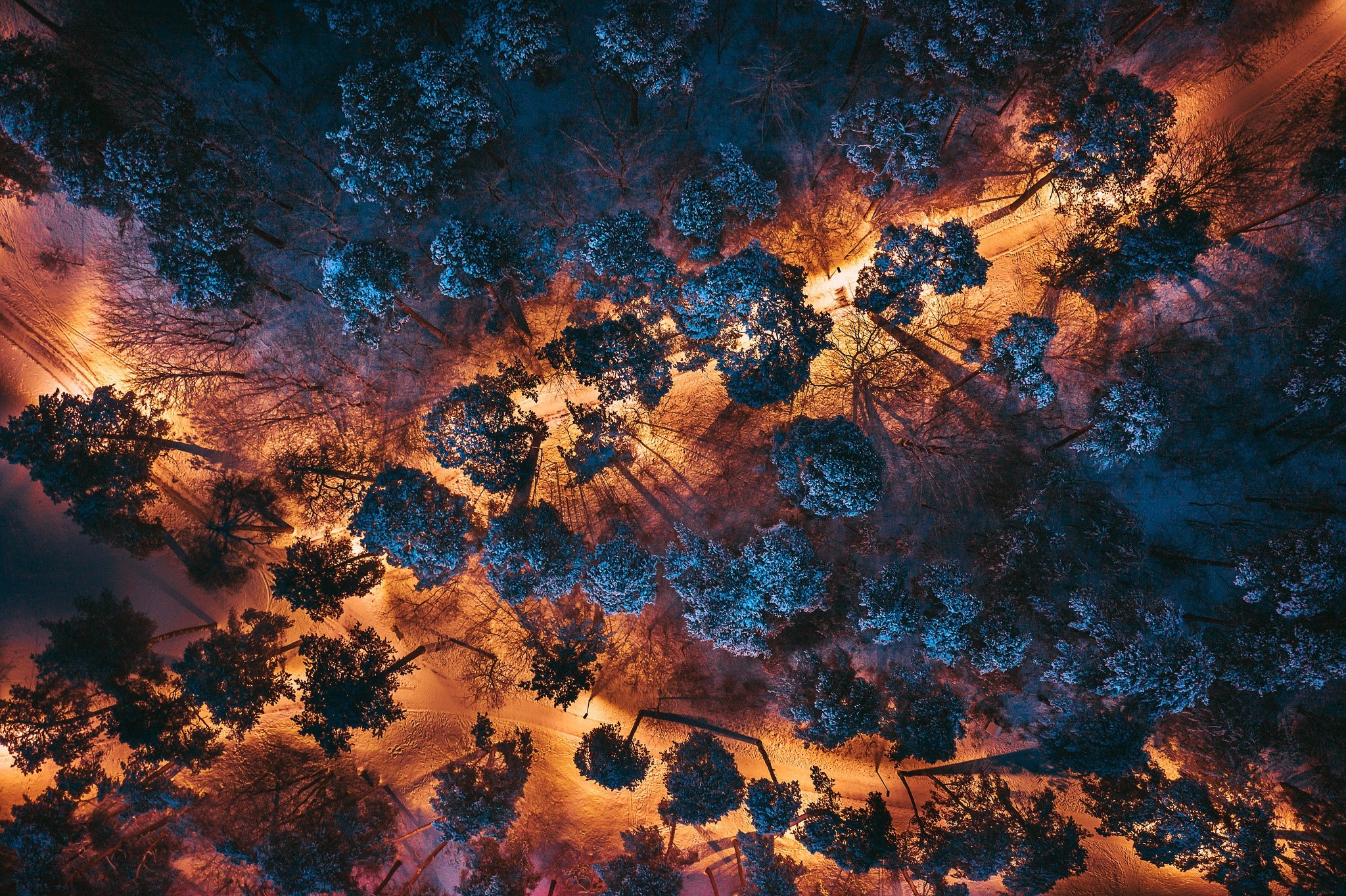 Aerial view of a forest at night with lights HD Wallpaper