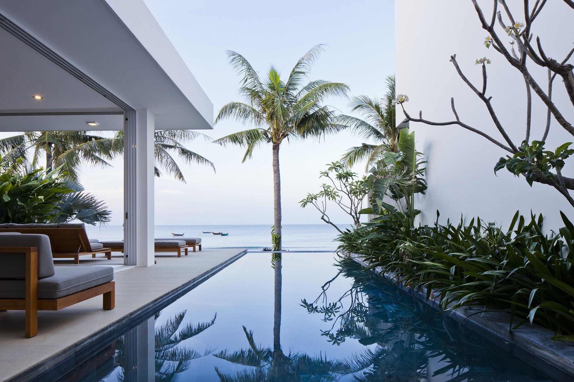 Modern luxury house with swimming pool and palm trees by the ocean HD Wallpaper
