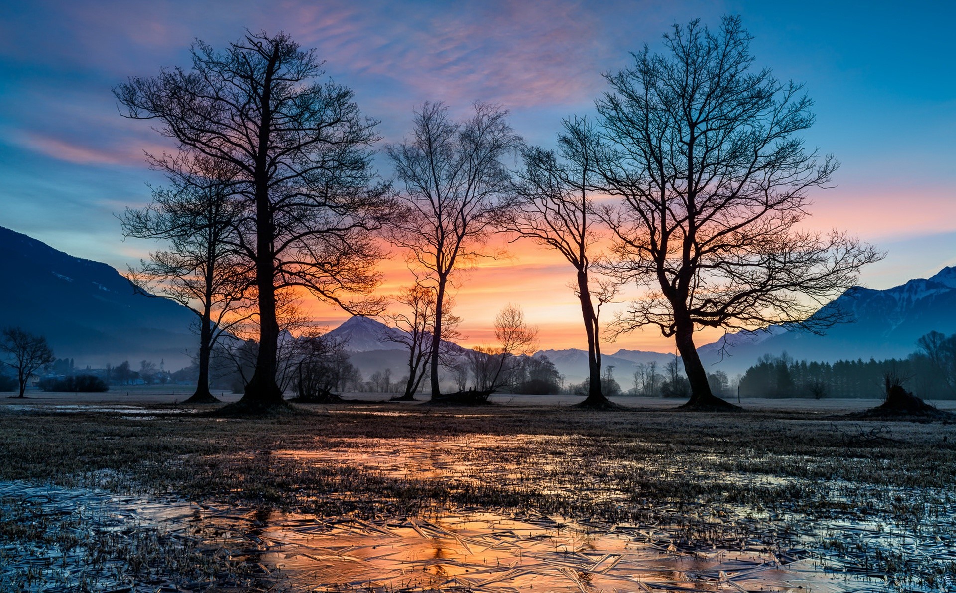 Bare trees silhouetted against a colorful winter sunrise over icy field HD Wallpaper