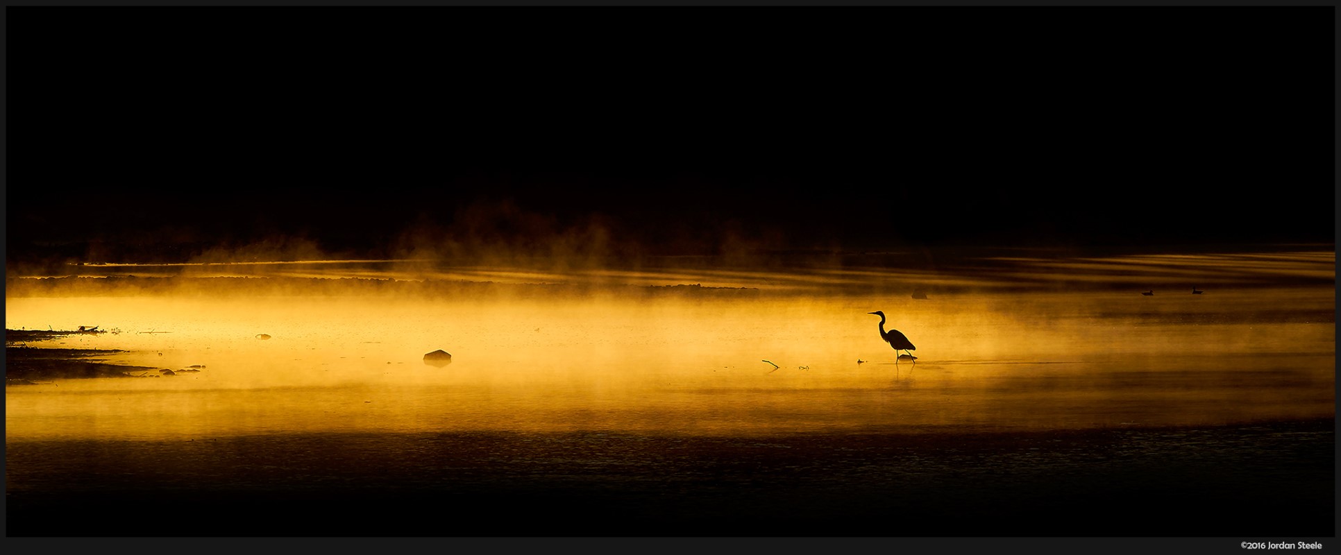 Silhouette of a heron in misty golden water HD Wallpaper
