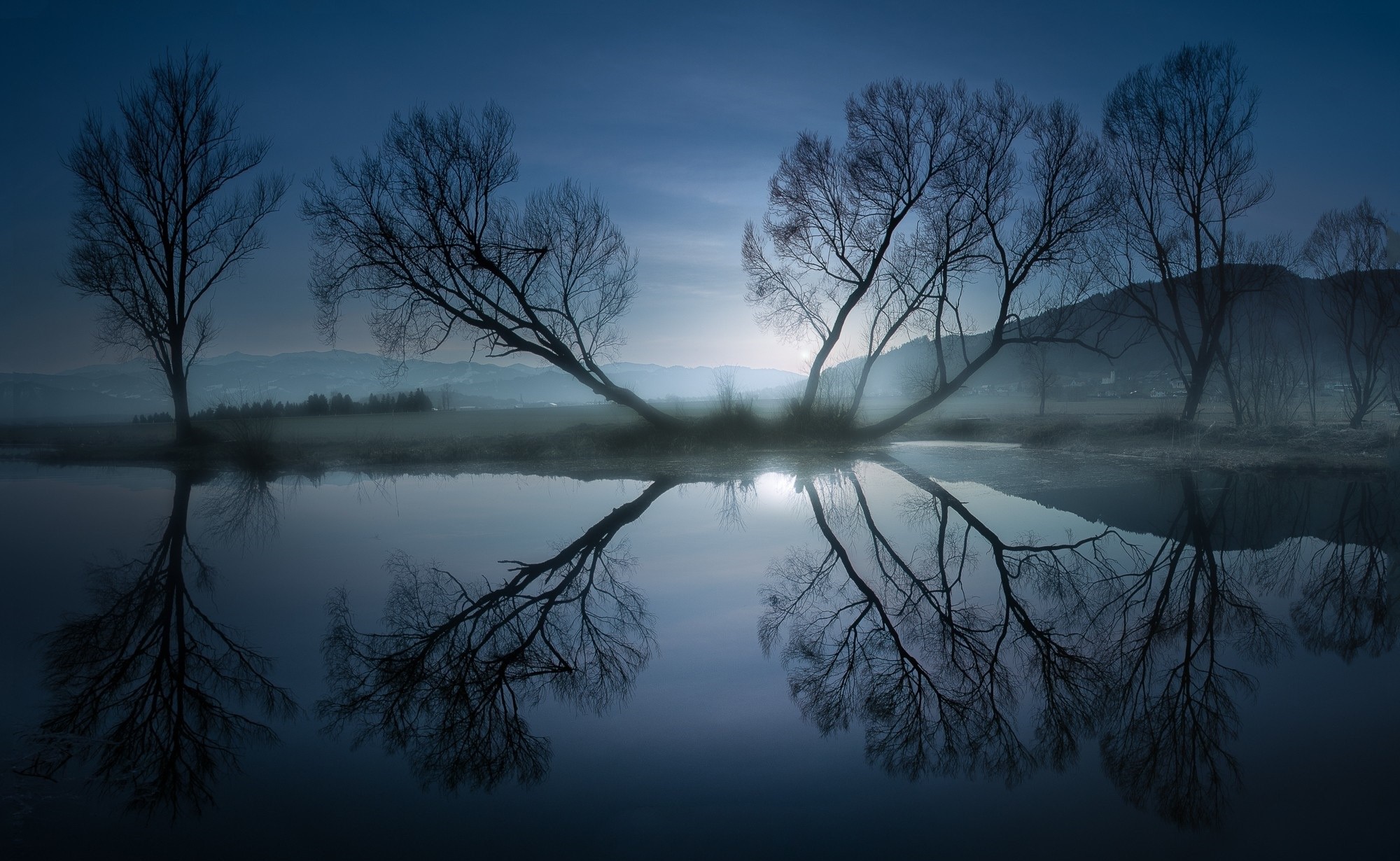 Bare trees reflected in dark water at dusk HD Wallpaper