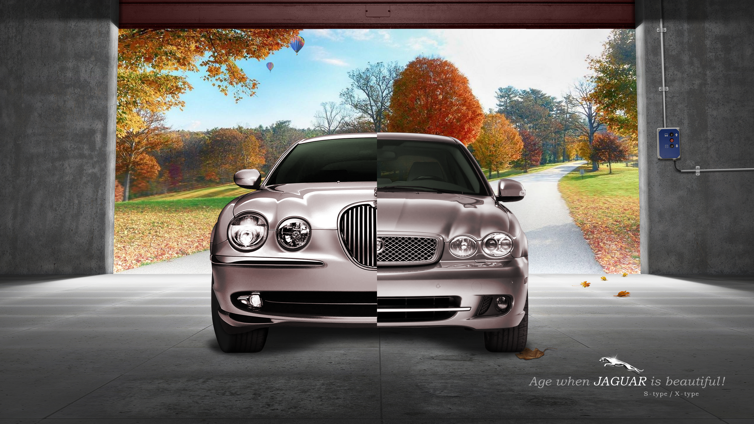 Jaguar S-Type and X-Type cars in autumn setting HD Wallpaper
