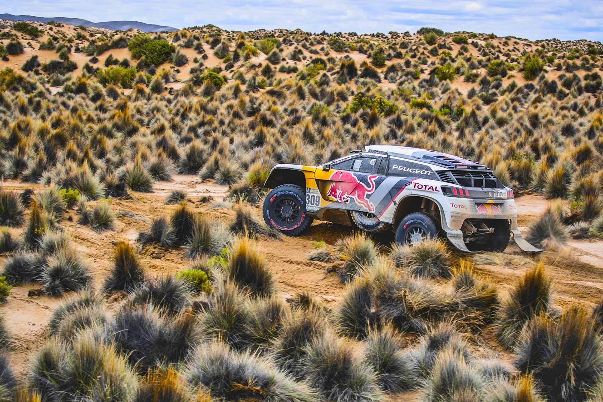 Peugeot rally car racing through a desert landscape HD Wallpaper