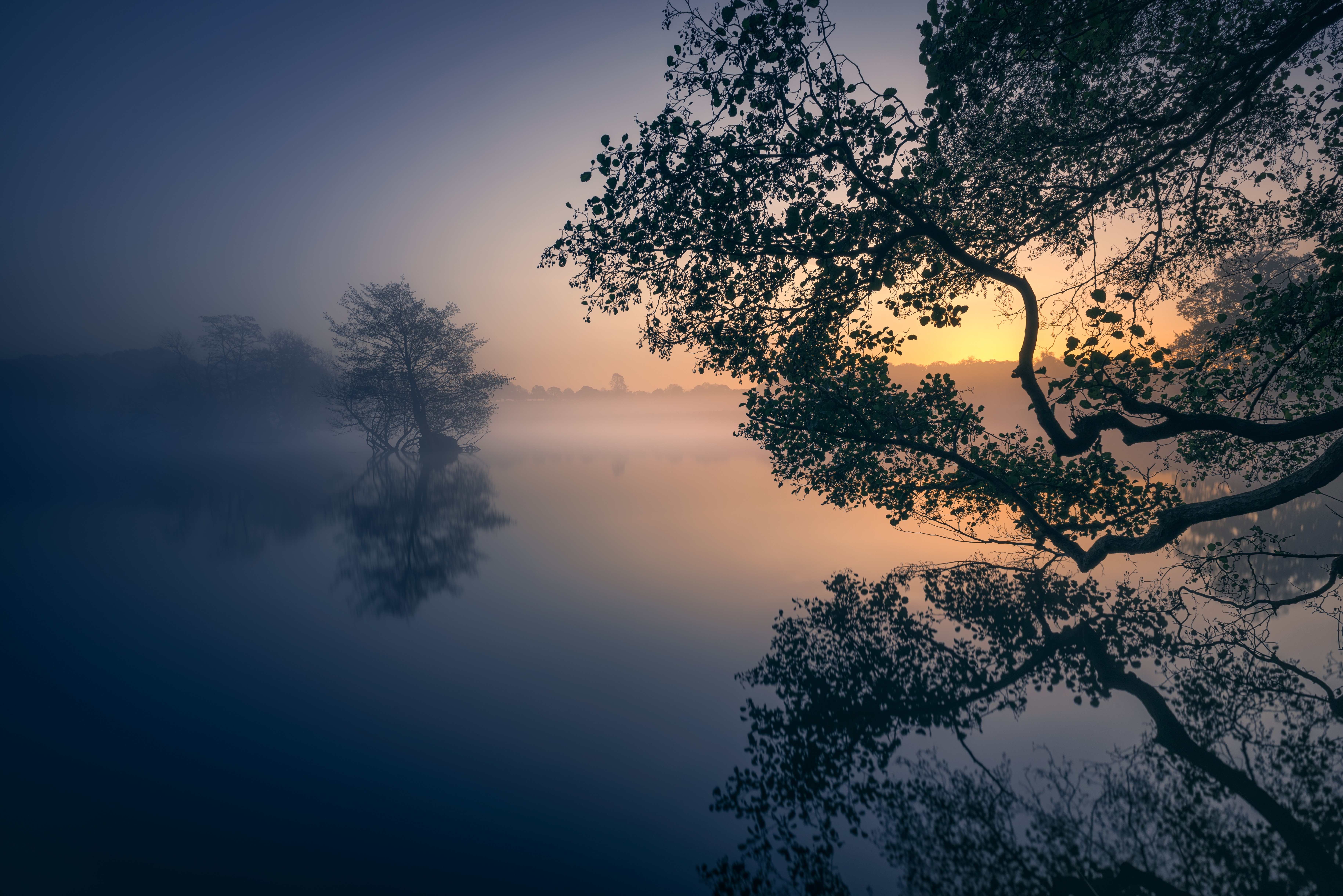 Misty lake at sunrise with tree reflections HD Wallpaper