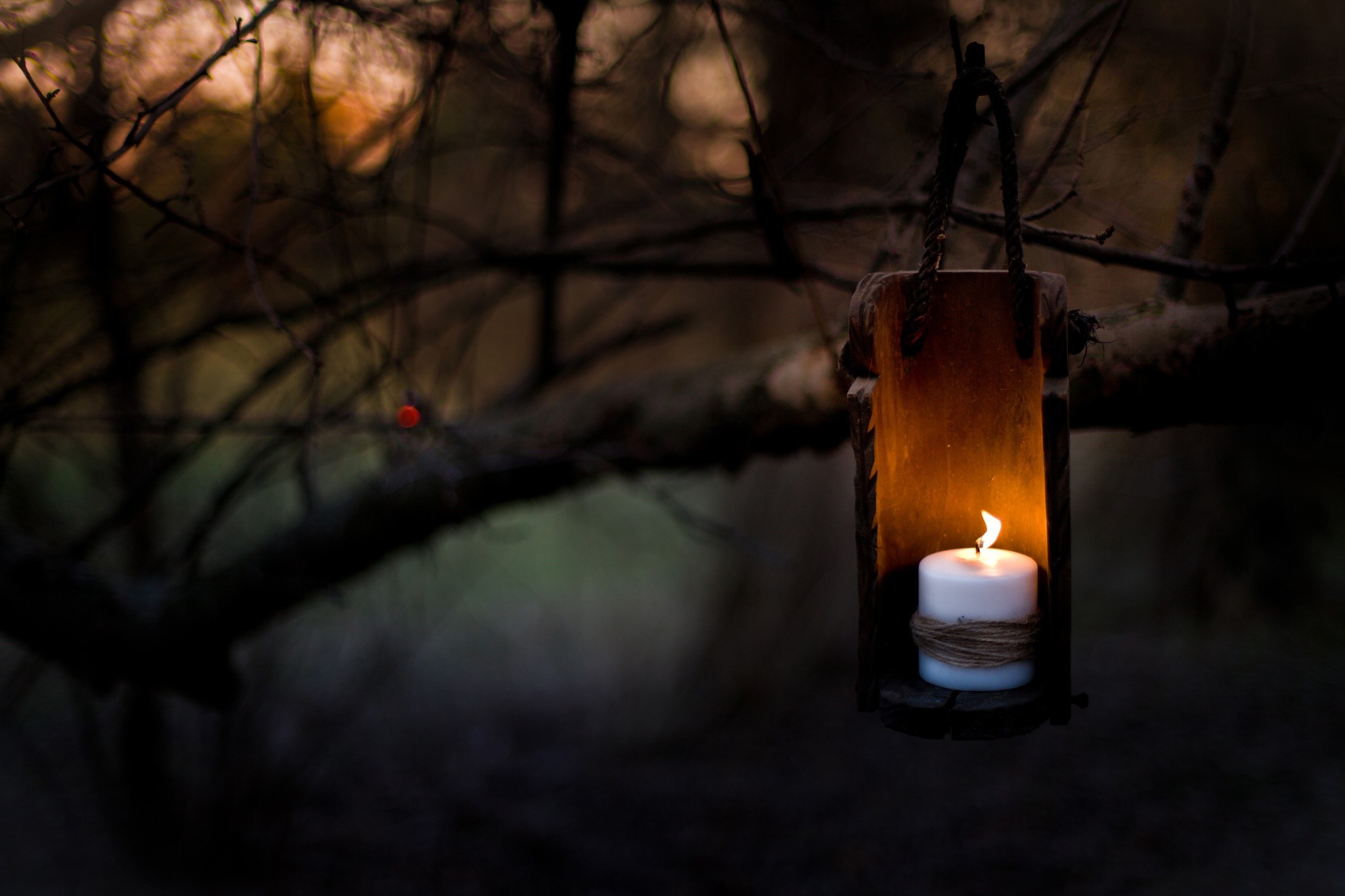 Candle in a wooden lantern hanging from a tree branch HD Wallpaper