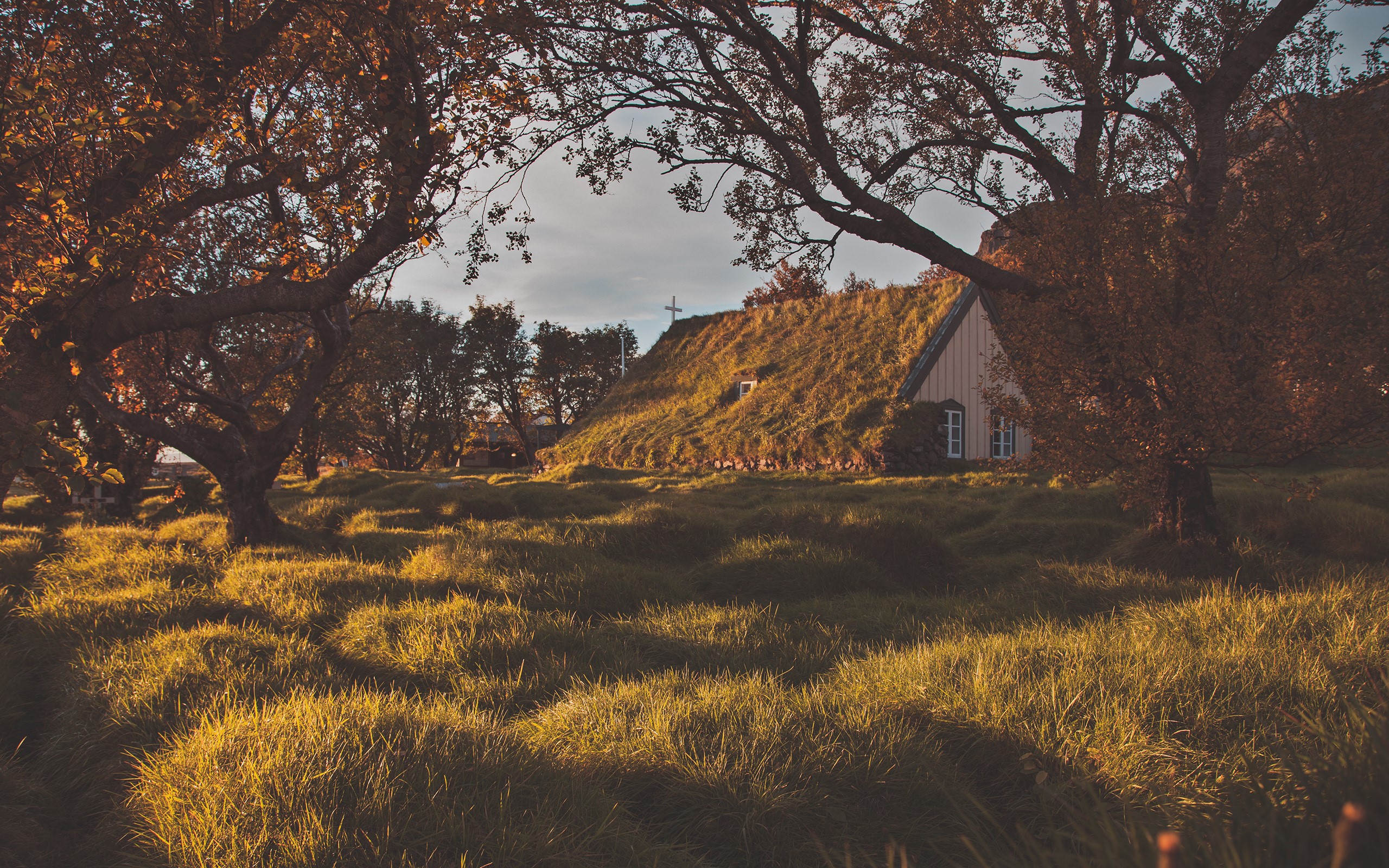 Grass-roofed church in a field at sunset HD Wallpaper