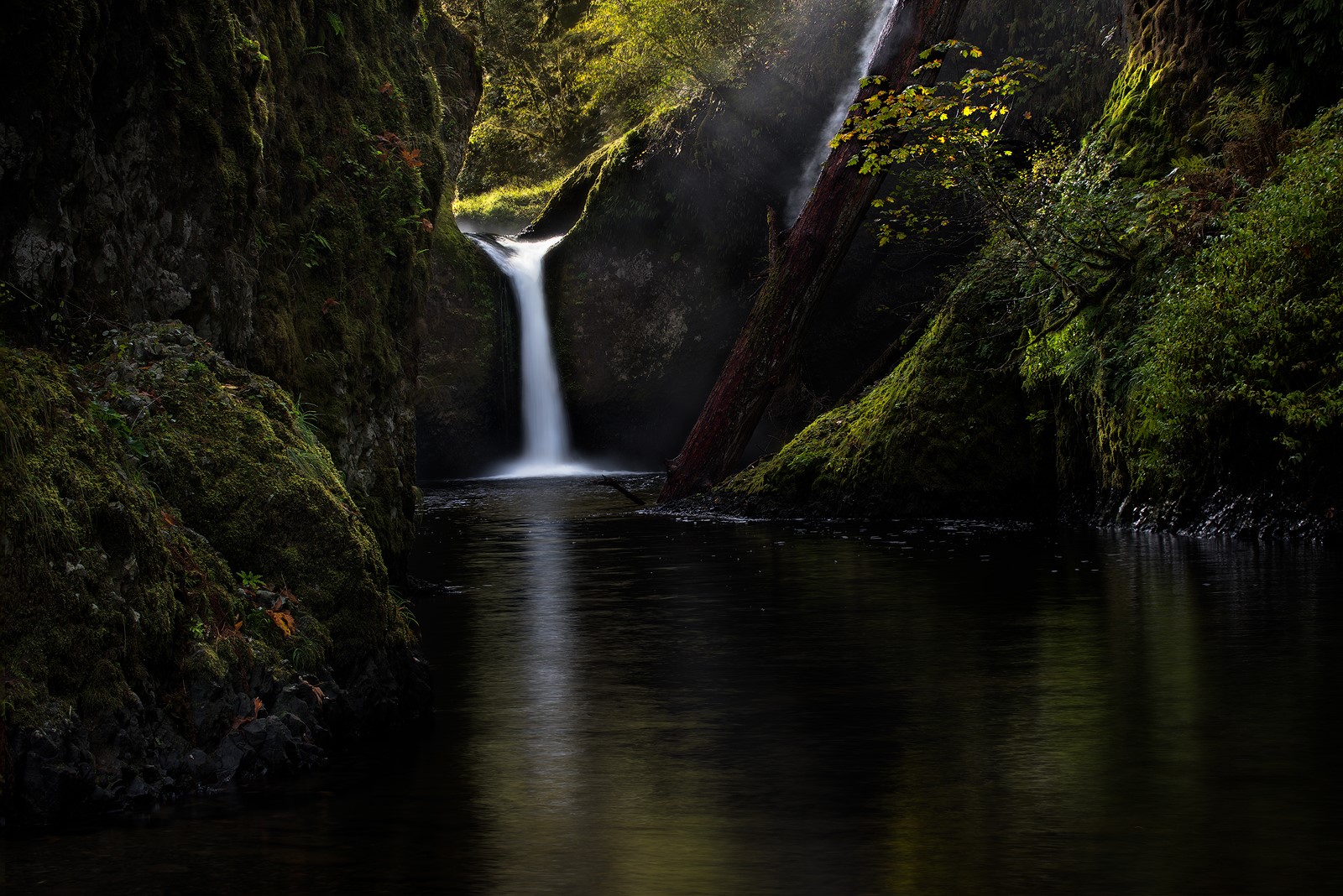 Waterfall cascading into a dark pool surrounded by mossy rocks HD Wallpaper