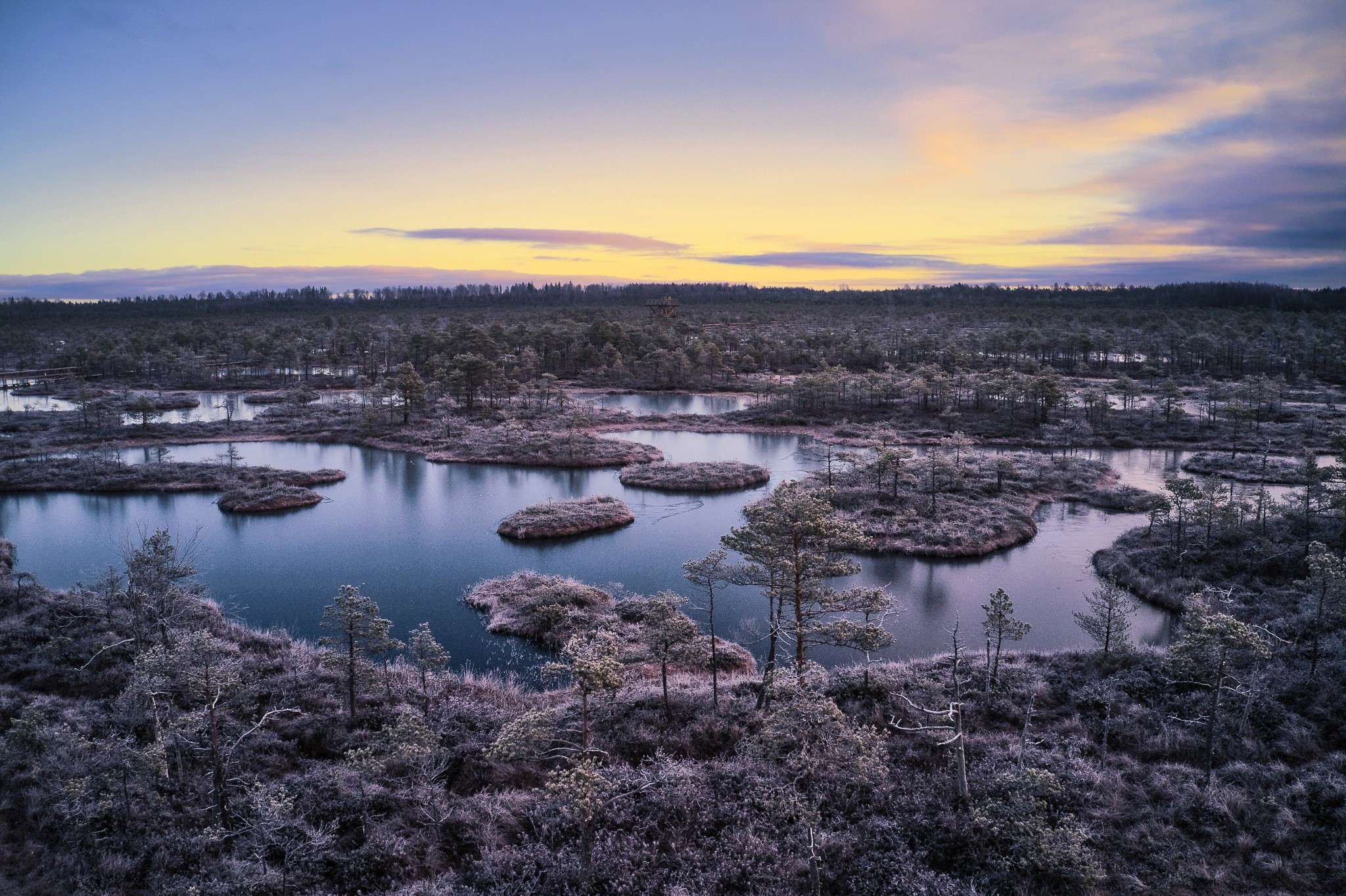Estonian Landscape