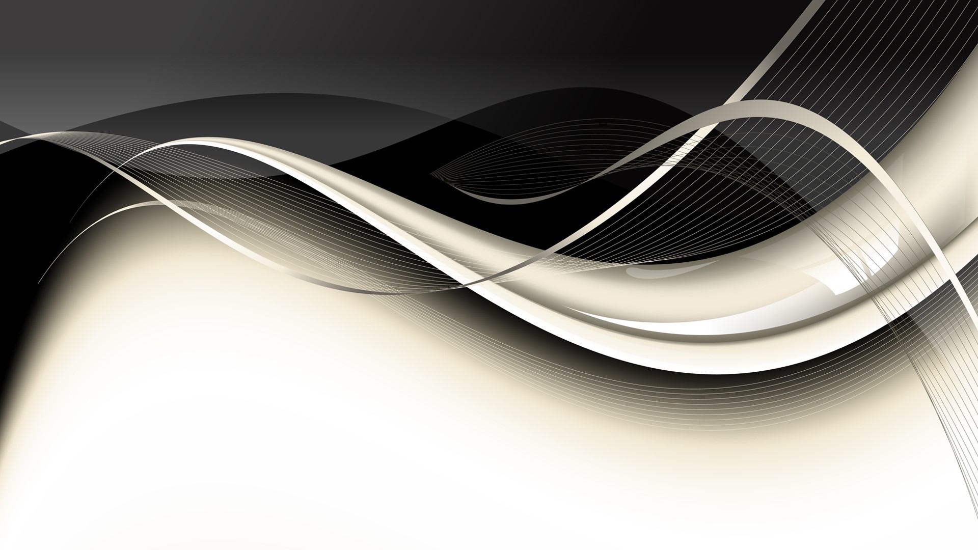 Abstract black and white flowing lines and shapes HD Wallpaper