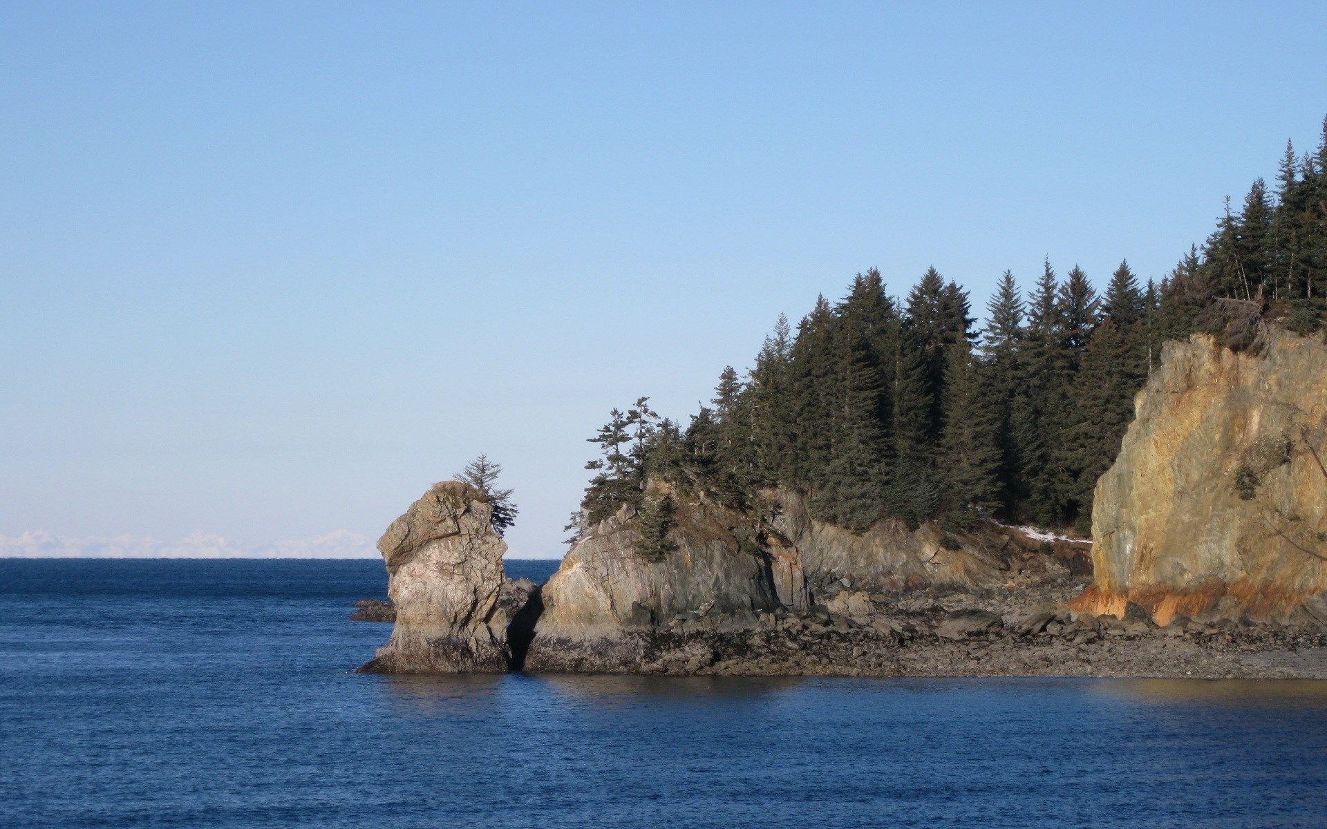 Rocky coastline with evergreen trees and blue ocean HD Wallpaper