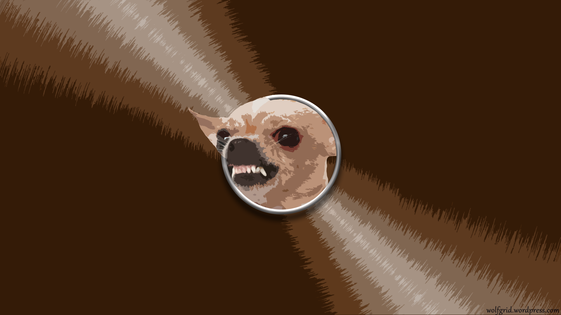Angry chihuahua in a circle HD Wallpaper