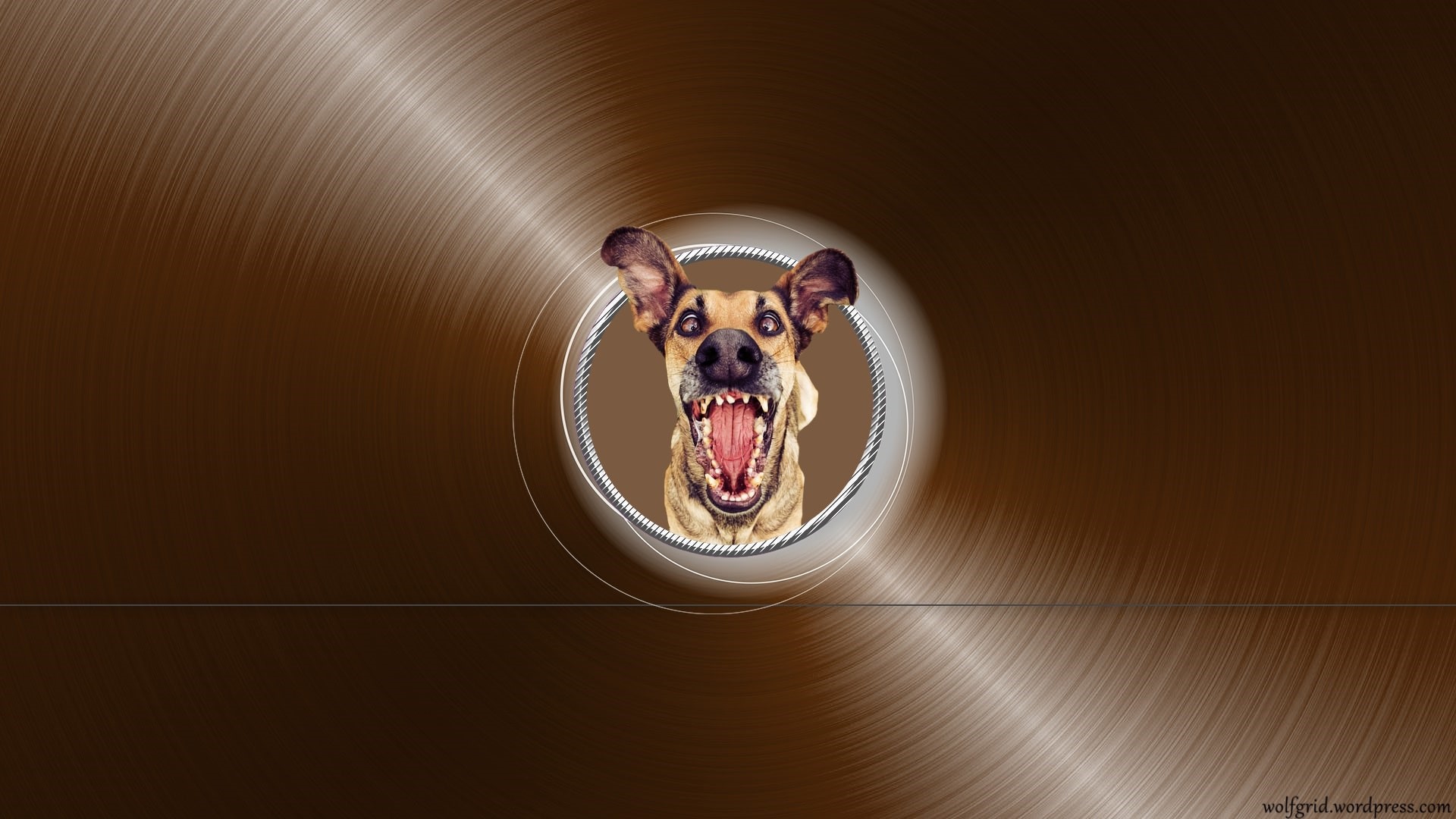 A dog with its mouth wide open in a circle HD Wallpaper