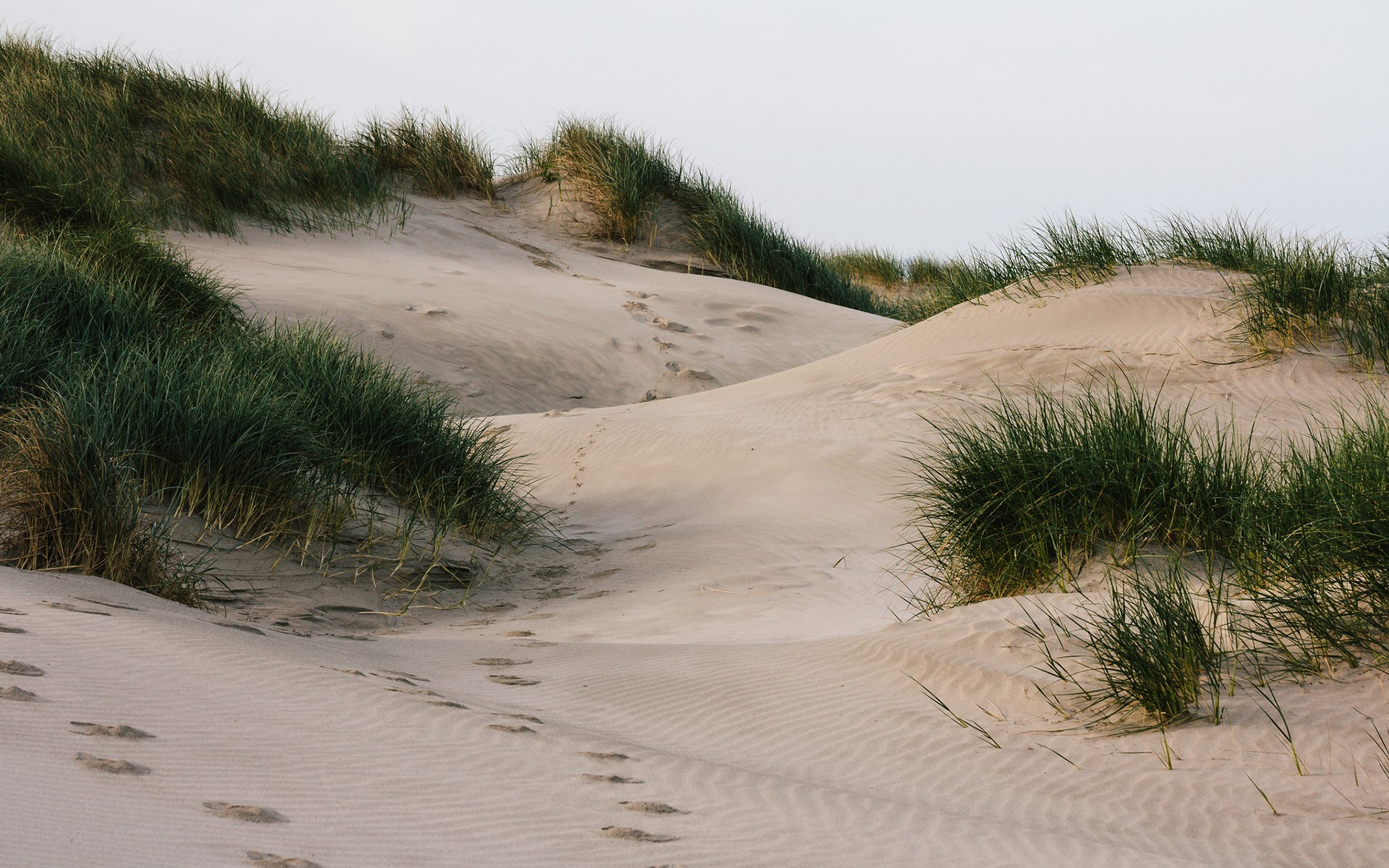 Sand dunes with grass and footprints HD Wallpaper