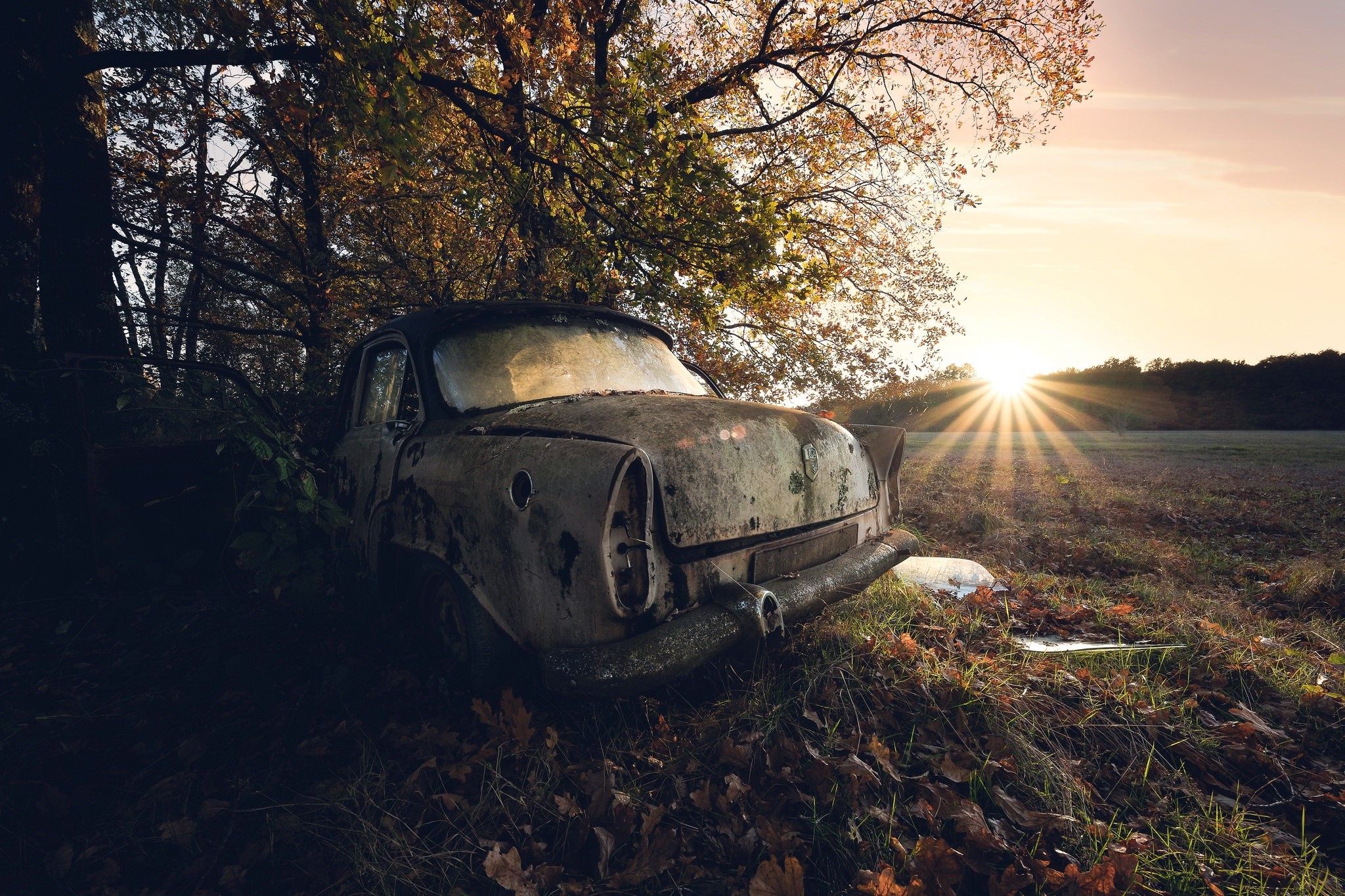 Abandoned car in a forest at sunset HD Wallpaper