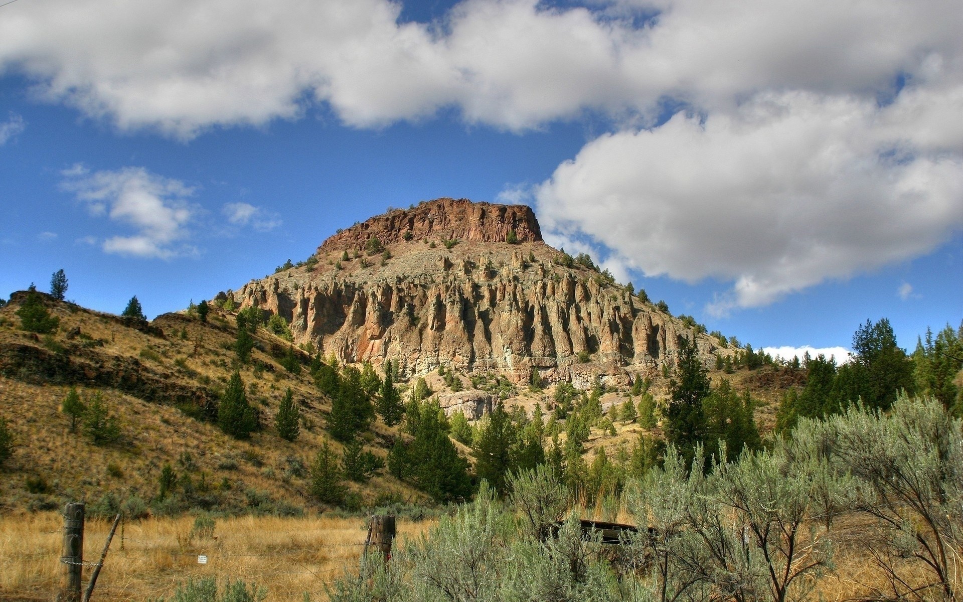 Mountain with rocky cliffs and scattered trees under a cloudy sky HD Wallpaper